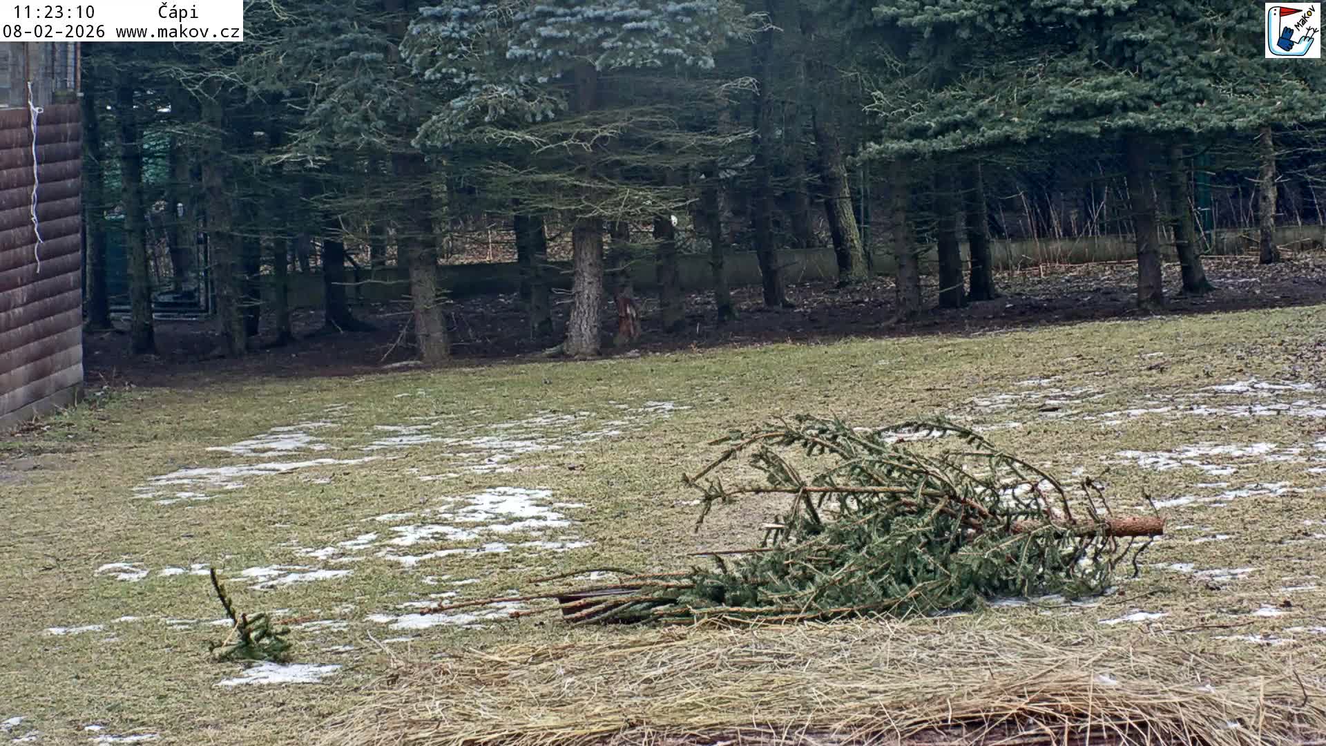 Pisek, Makov Animal Rescue Station Nest Live Cam - Cizova, Pisek, Juhočeský Kraj (South Bohemian), Czechia