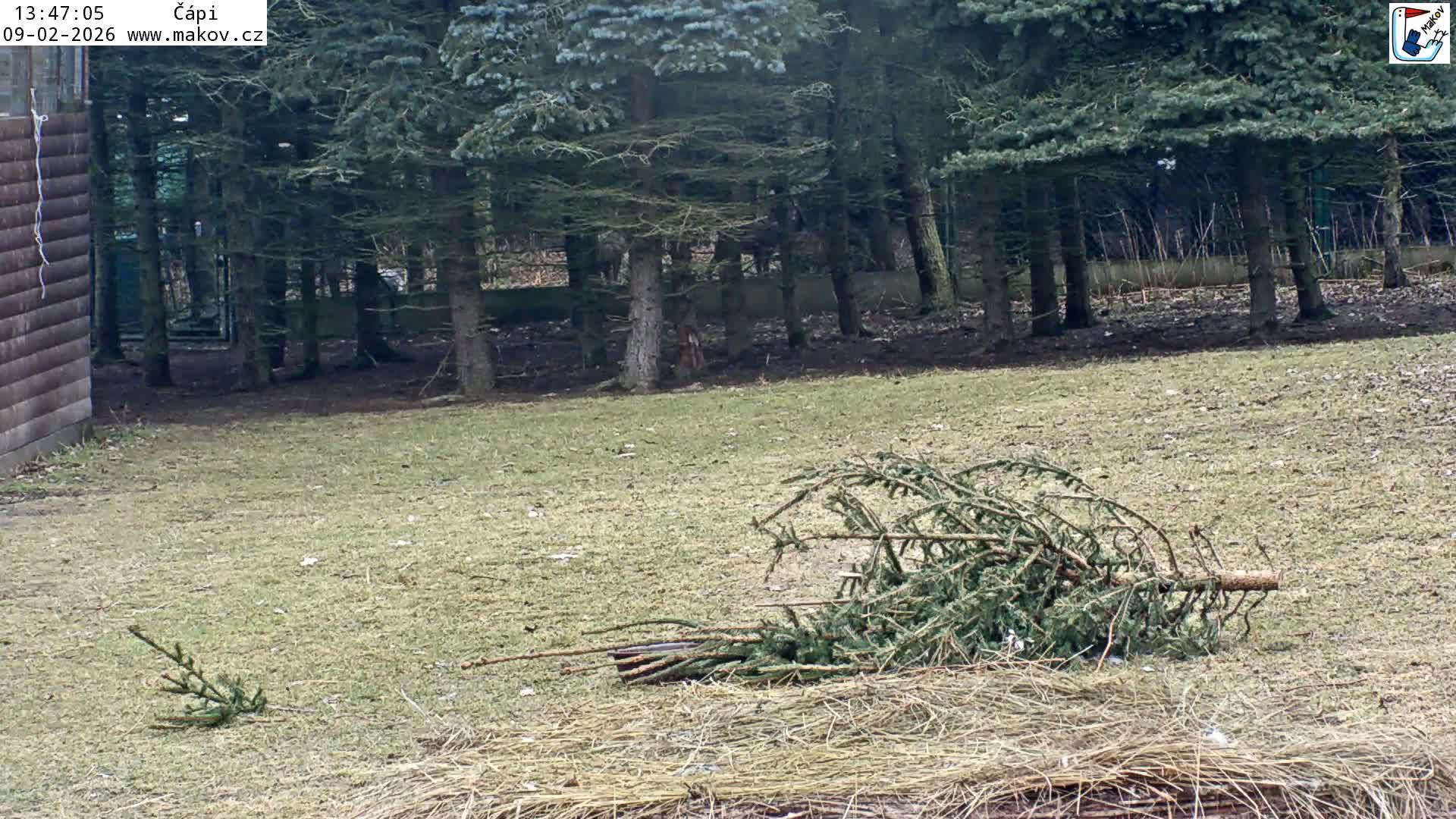 Pisek, Makov Animal Rescue Station Nest Live Cam - Cizova, Pisek, Juhočeský Kraj (South Bohemian), Czechia