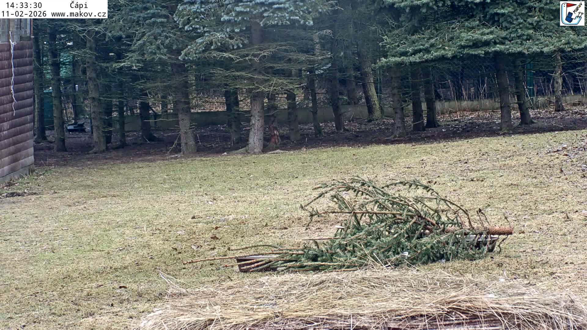 Pisek, Makov Animal Rescue Station Nest Live Cam - Cizova, Pisek, Juhočeský Kraj (South Bohemian), Czechia