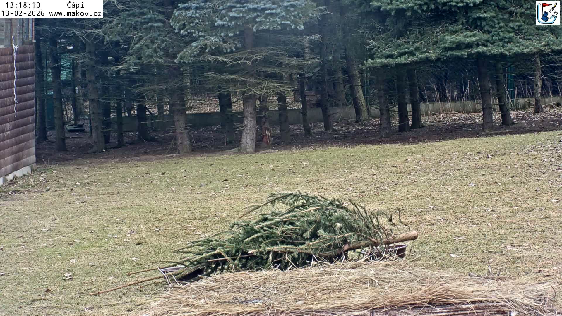 Pisek, Makov Animal Rescue Station Nest Live Cam - Cizova, Pisek, Juhočeský Kraj (South Bohemian), Czechia