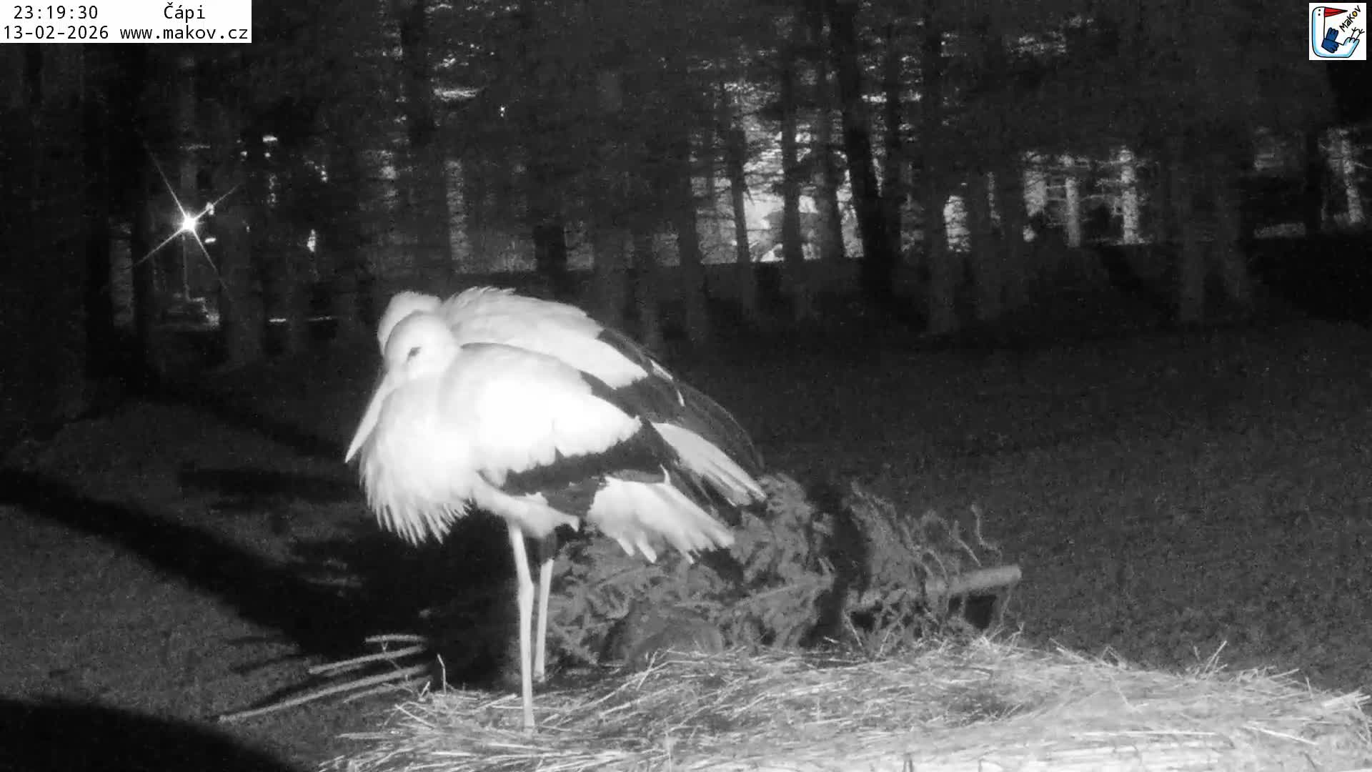 Pisek, Makov Animal Rescue Station Nest Live Cam - Cizova, Pisek, Juhočeský Kraj (South Bohemian), Czechia