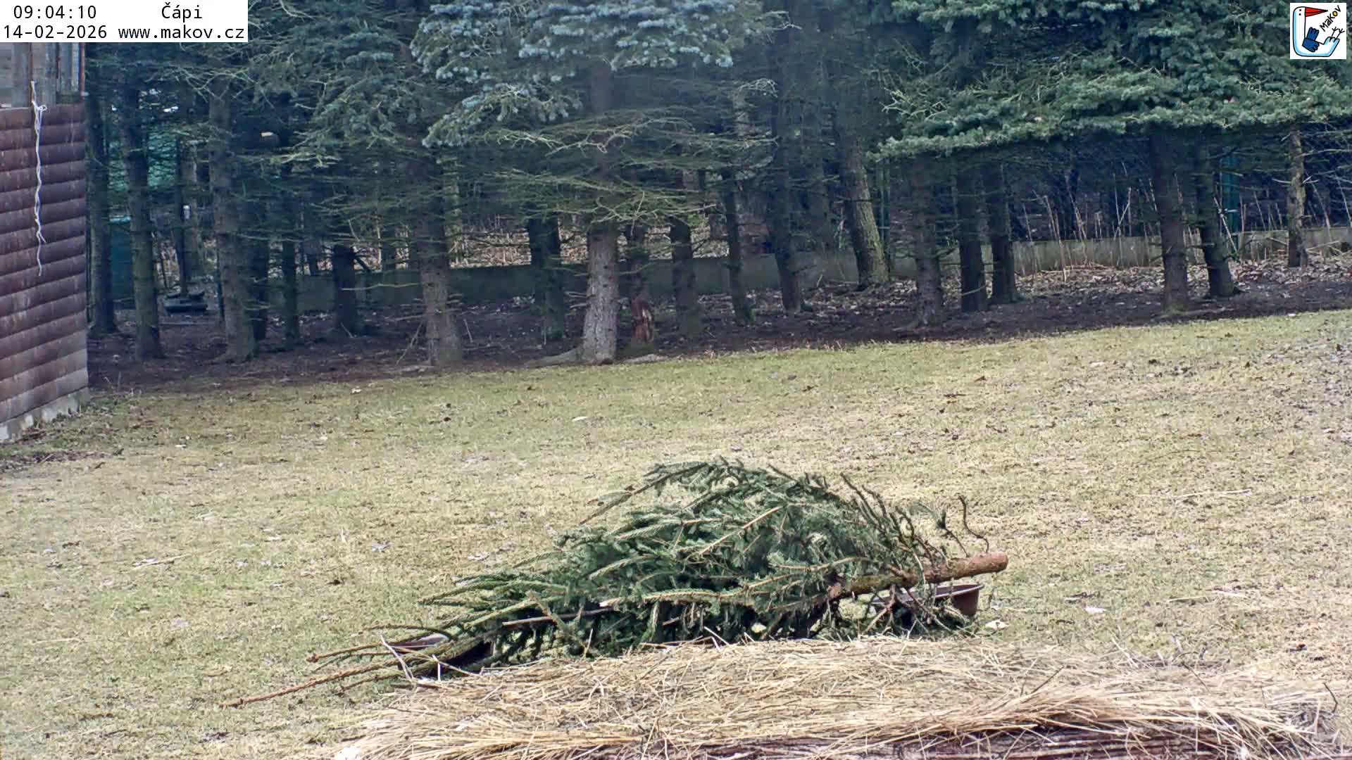 Pisek, Makov Animal Rescue Station Nest Live Cam - Cizova, Pisek, Juhočeský Kraj (South Bohemian), Czechia