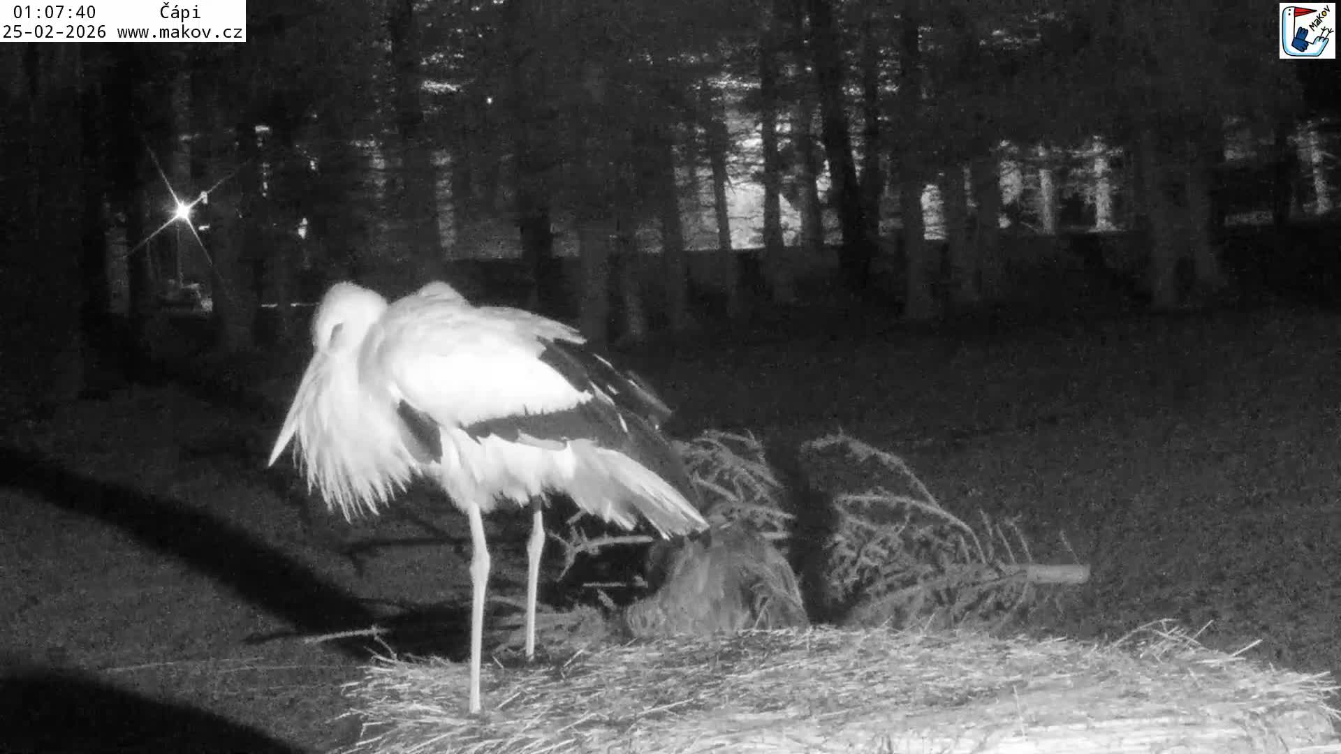 Pisek, Makov Animal Rescue Station Nest Live Cam - Cizova, Pisek, Juhočeský Kraj (South Bohemian), Czechia