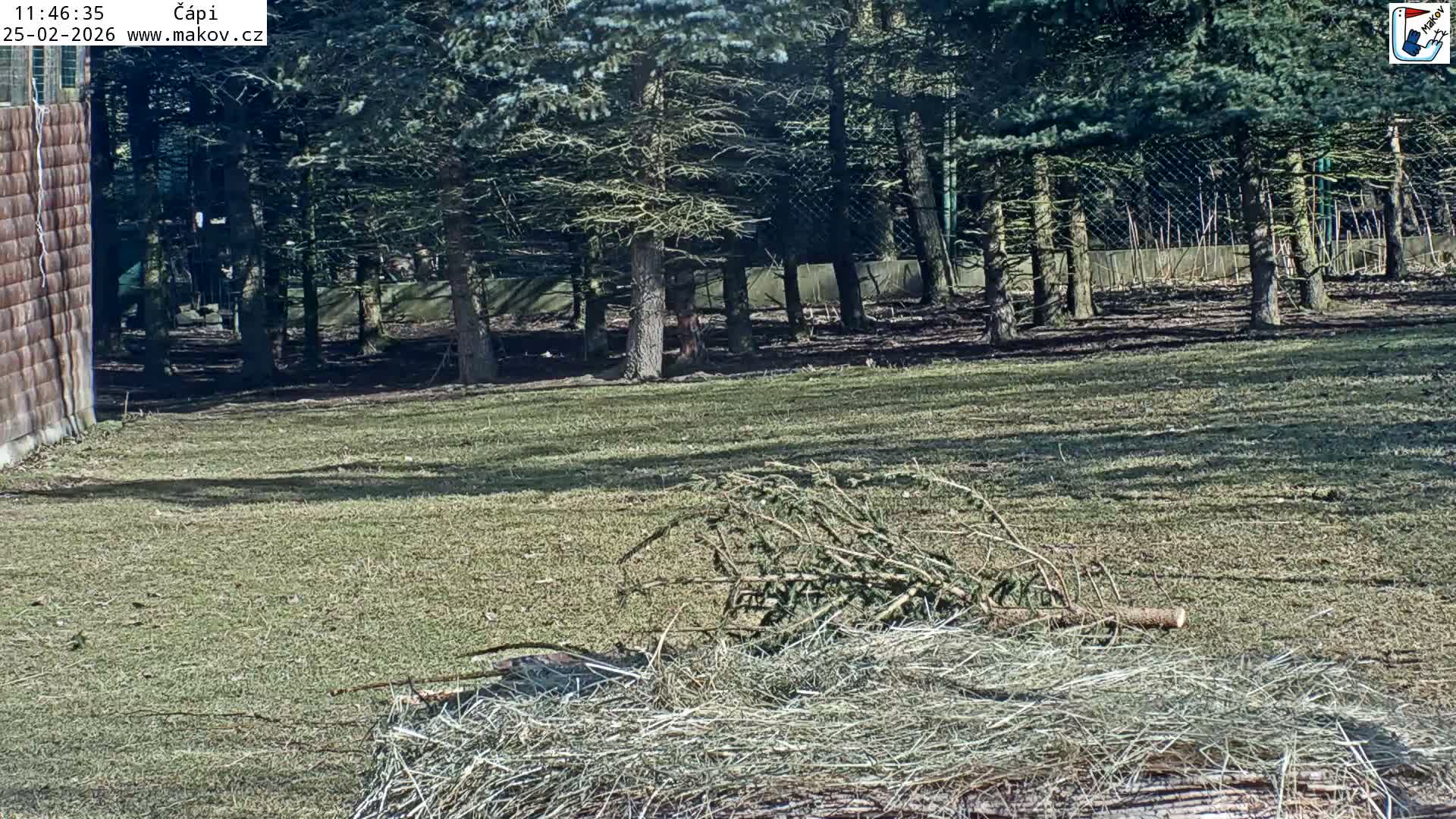 Pisek, Makov Animal Rescue Station Nest Live Cam - Cizova, Pisek, Juhočeský Kraj (South Bohemian), Czechia