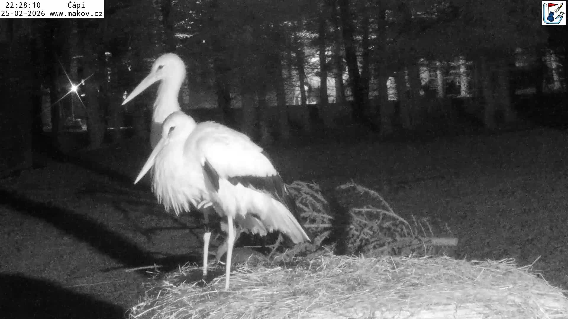 Pisek, Makov Animal Rescue Station Nest Live Cam - Cizova, Pisek, Juhočeský Kraj (South Bohemian), Czechia