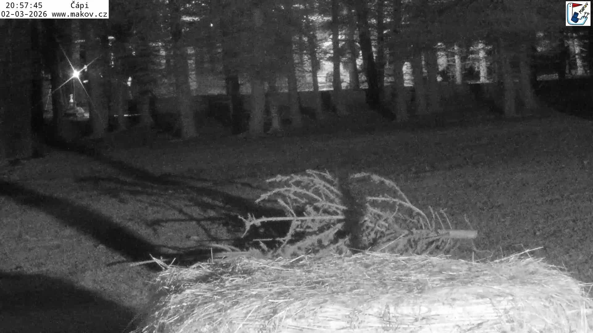 Pisek, Makov Animal Rescue Station Nest Live Cam - Cizova, Pisek, Juhočeský Kraj (South Bohemian), Czechia