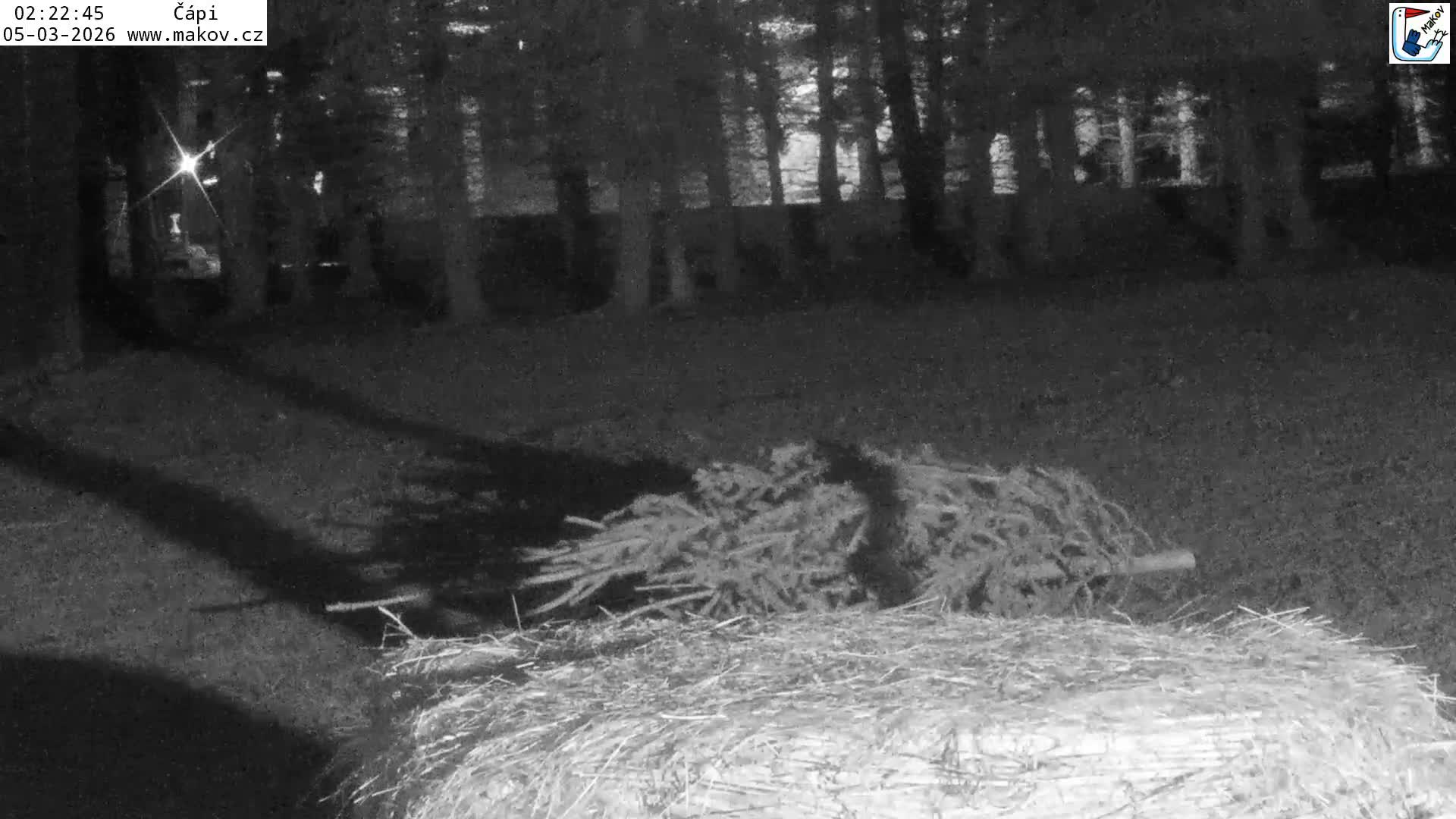 Pisek, Makov Animal Rescue Station Nest Live Cam - Cizova, Pisek, Juhočeský Kraj (South Bohemian), Czechia