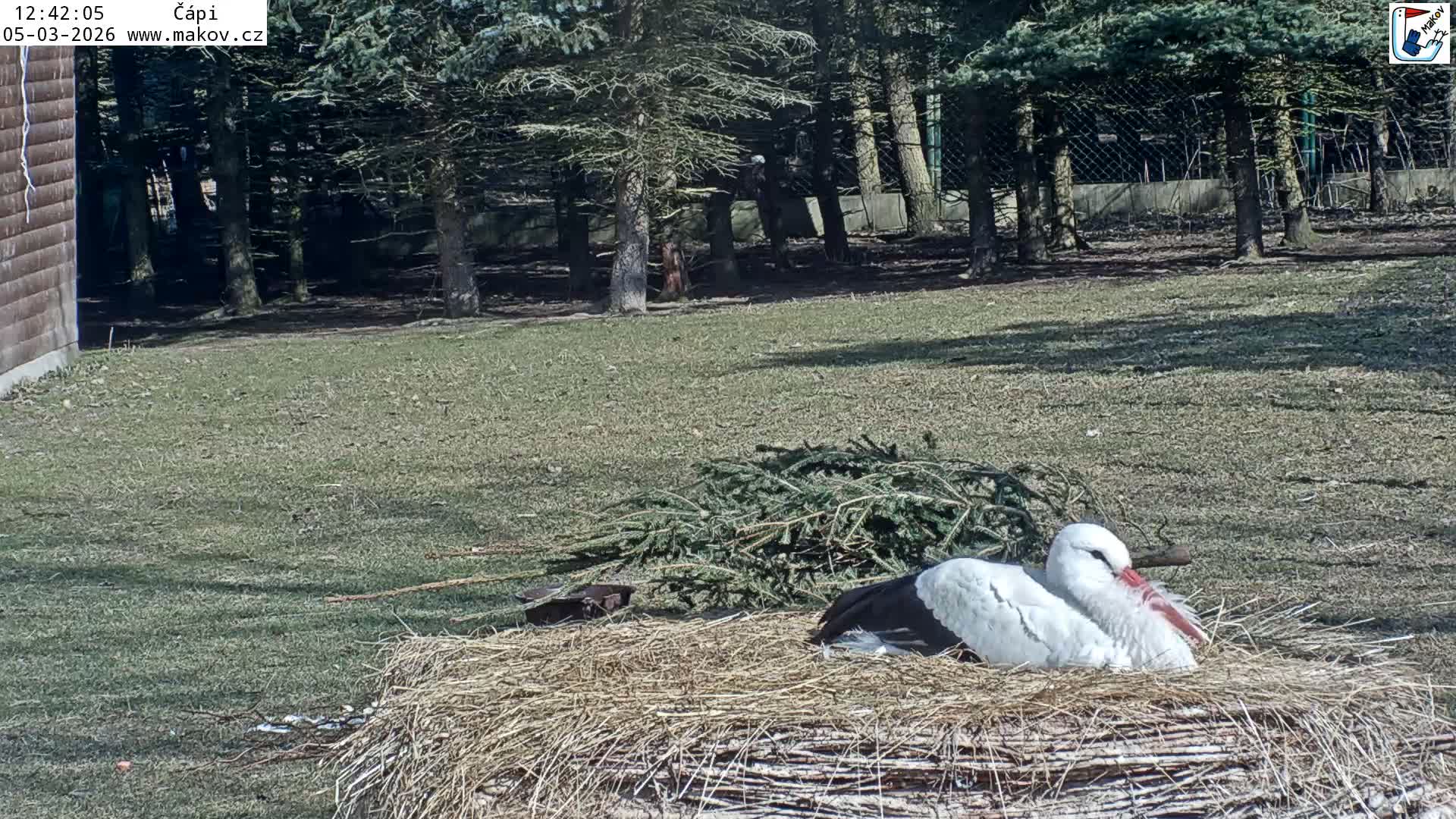 Pisek, Makov Animal Rescue Station Nest Live Cam - Cizova, Pisek, Juhočeský Kraj (South Bohemian), Czechia