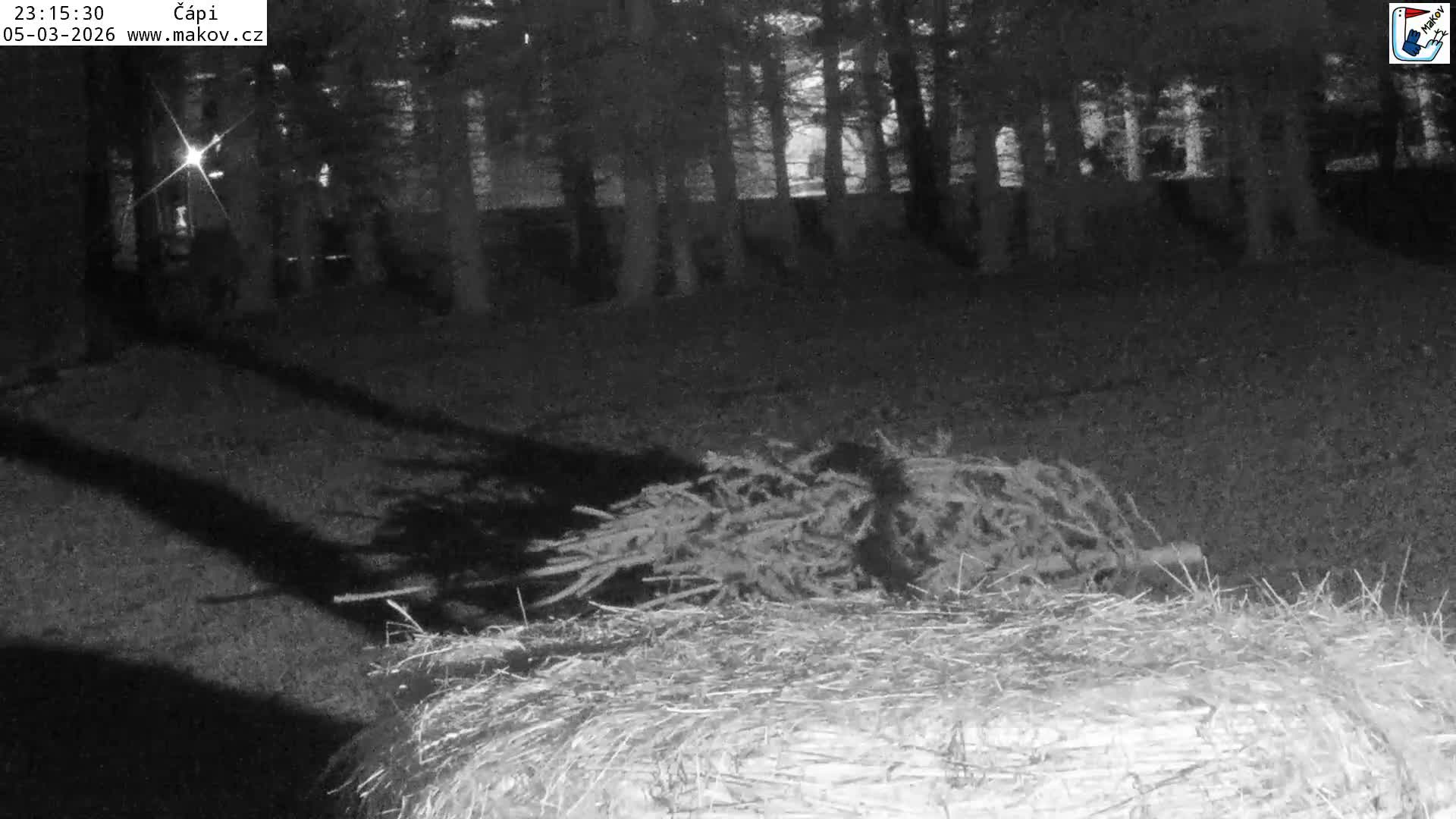 Pisek, Makov Animal Rescue Station Nest Live Cam - Cizova, Pisek, Juhočeský Kraj (South Bohemian), Czechia