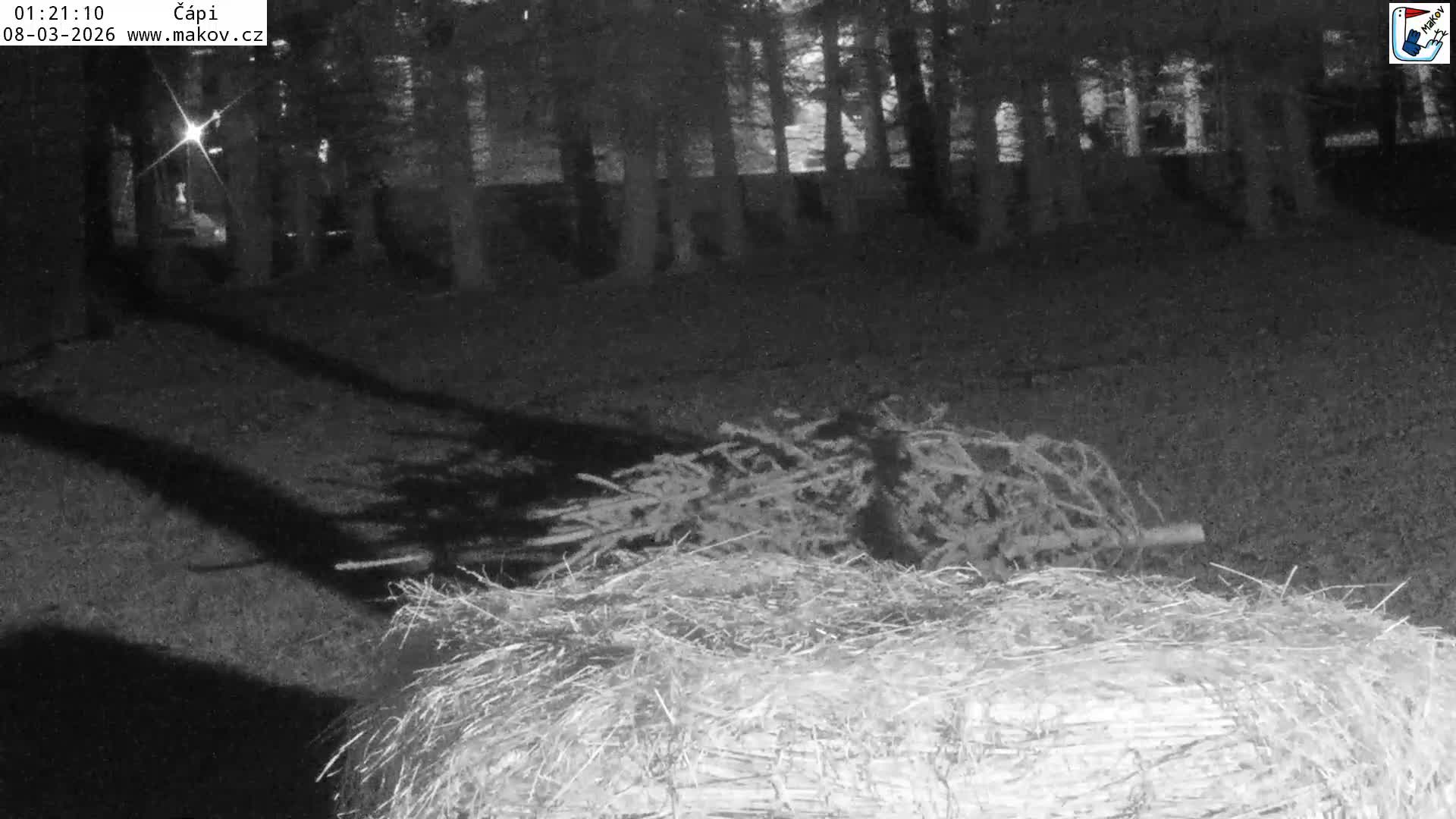Pisek, Makov Animal Rescue Station Nest Live Cam - Cizova, Pisek, Juhočeský Kraj (South Bohemian), Czechia