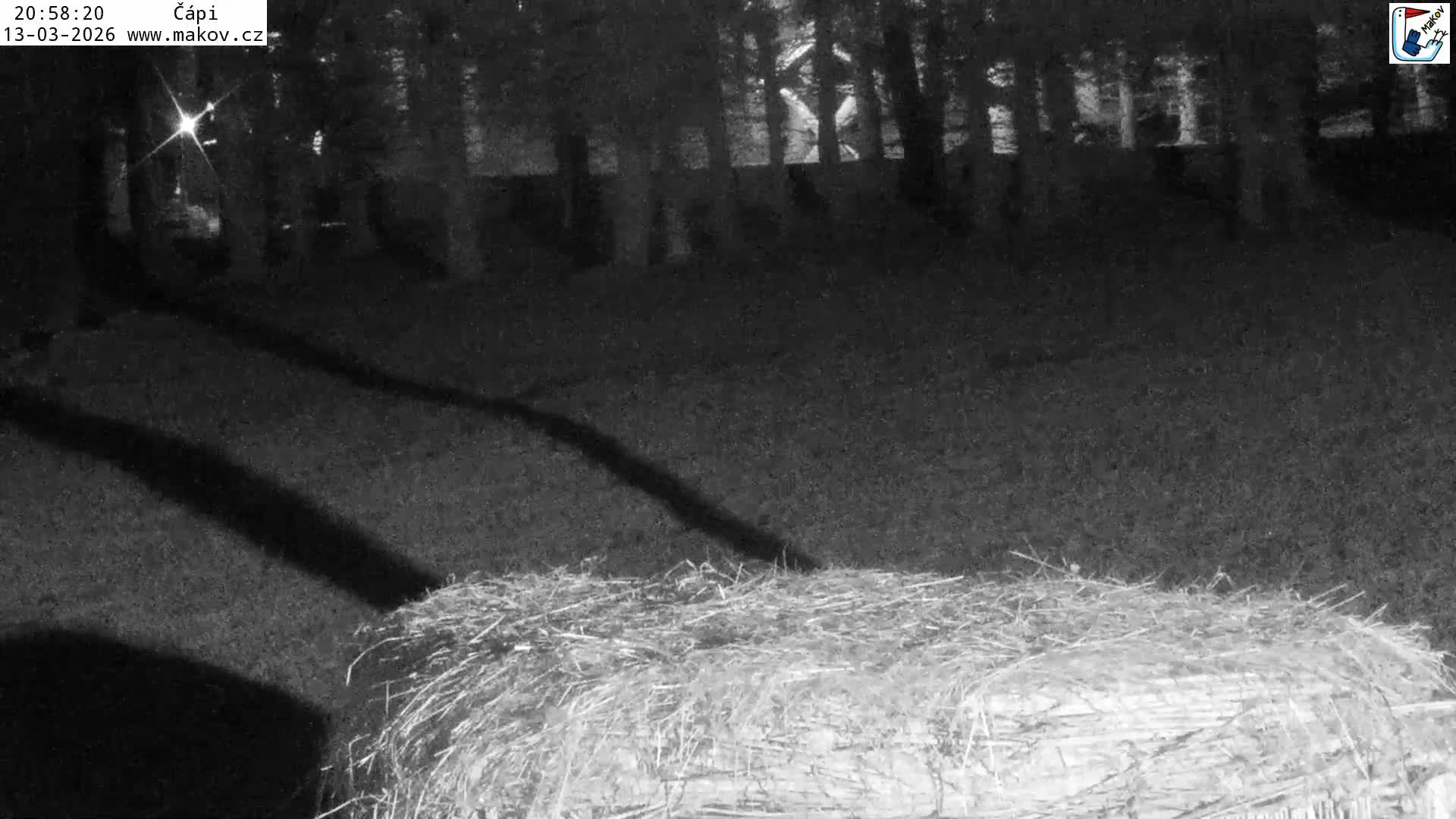 Pisek, Makov Animal Rescue Station Nest Live Cam - Cizova, Pisek, Juhočeský Kraj (South Bohemian), Czechia
