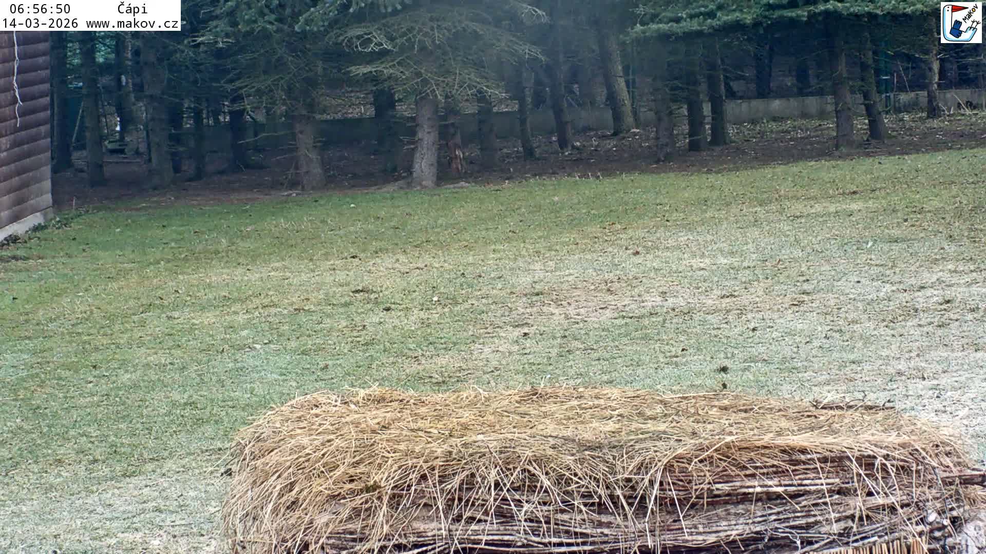 Pisek, Makov Animal Rescue Station Nest Live Cam - Cizova, Pisek, Juhočeský Kraj (South Bohemian), Czechia