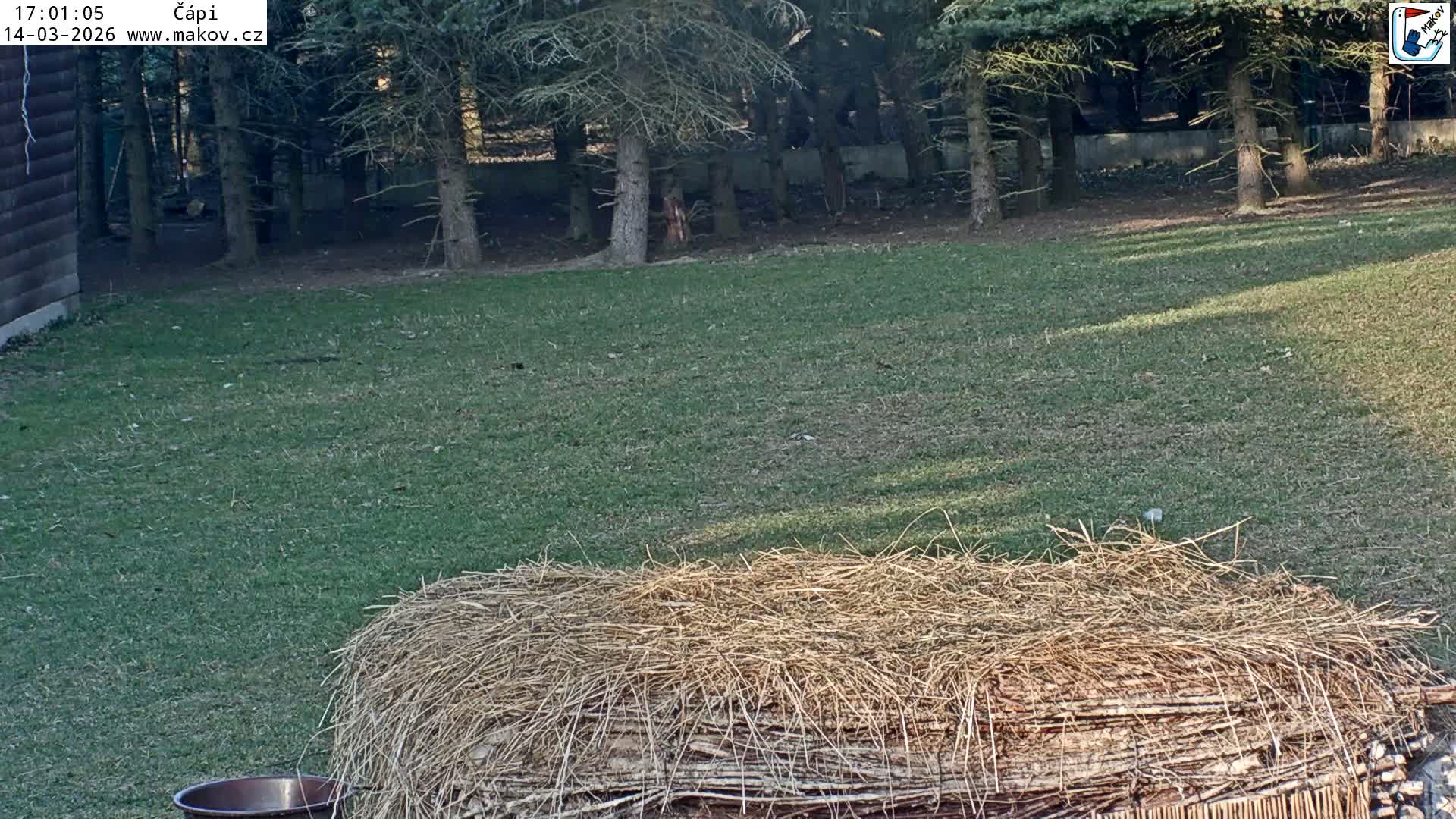 Pisek, Makov Animal Rescue Station Nest Live Cam - Cizova, Pisek, Juhočeský Kraj (South Bohemian), Czechia
