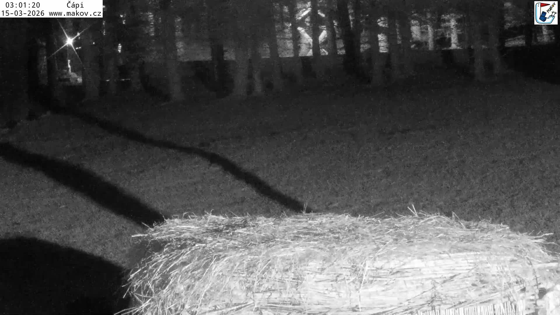 Pisek, Makov Animal Rescue Station Nest Live Cam - Cizova, Pisek, Juhočeský Kraj (South Bohemian), Czechia