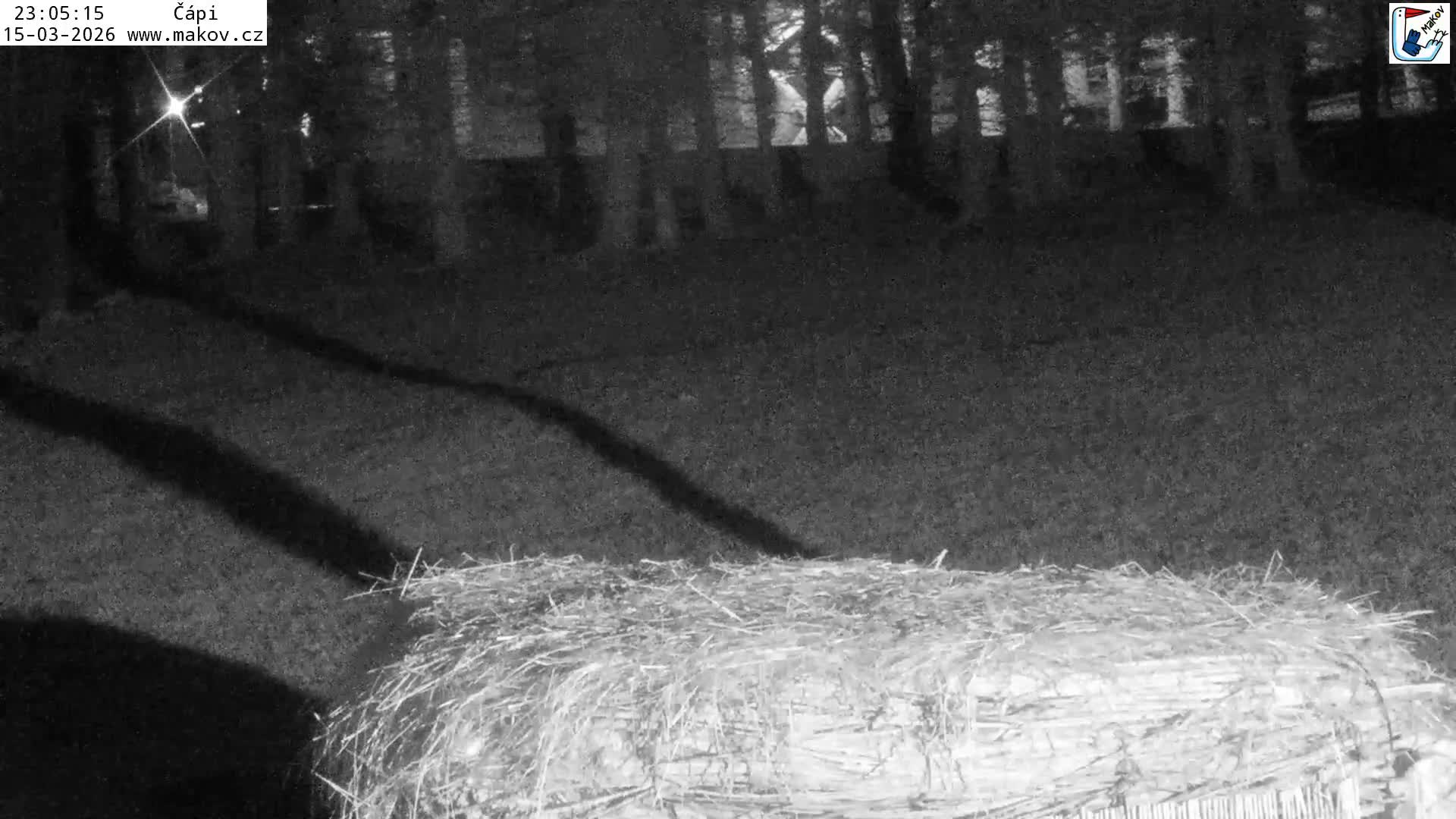 Pisek, Makov Animal Rescue Station Nest Live Cam - Cizova, Pisek, Juhočeský Kraj (South Bohemian), Czechia