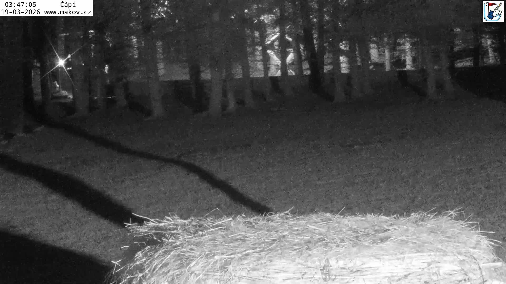 Pisek, Makov Animal Rescue Station Nest Live Cam - Cizova, Pisek, Juhočeský Kraj (South Bohemian), Czechia
