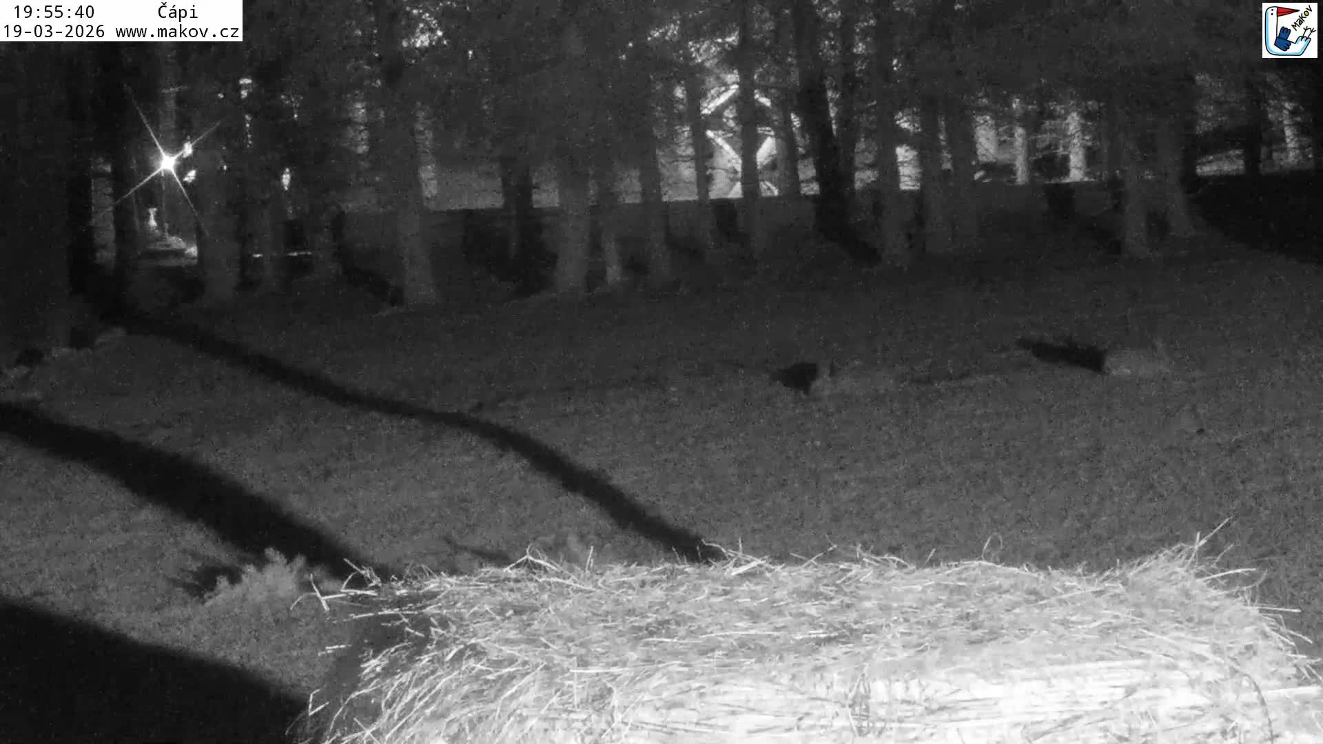 Pisek, Makov Animal Rescue Station Nest Live Cam - Cizova, Pisek, Juhočeský Kraj (South Bohemian), Czechia