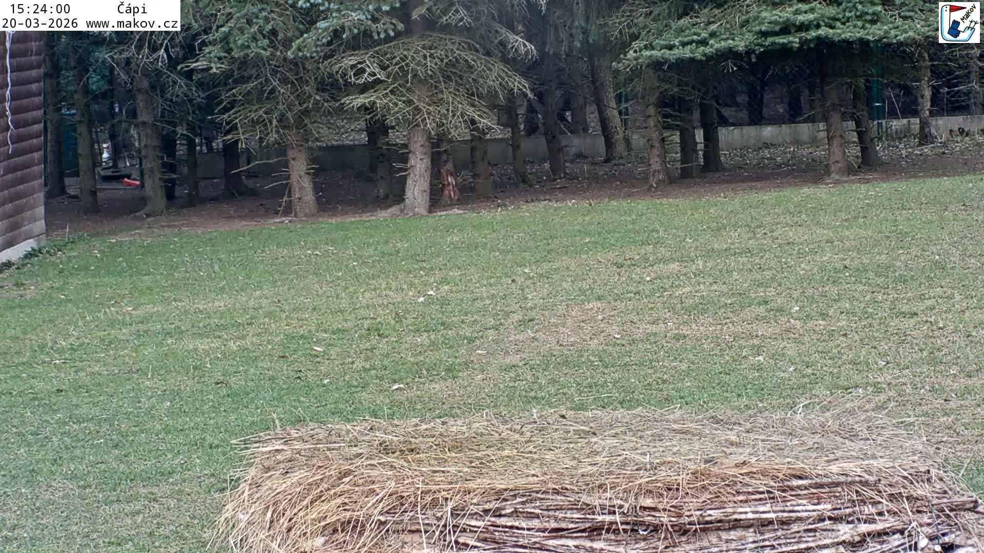 Pisek, Makov Animal Rescue Station Nest Live Cam - Cizova, Pisek, Juhočeský Kraj (South Bohemian), Czechia