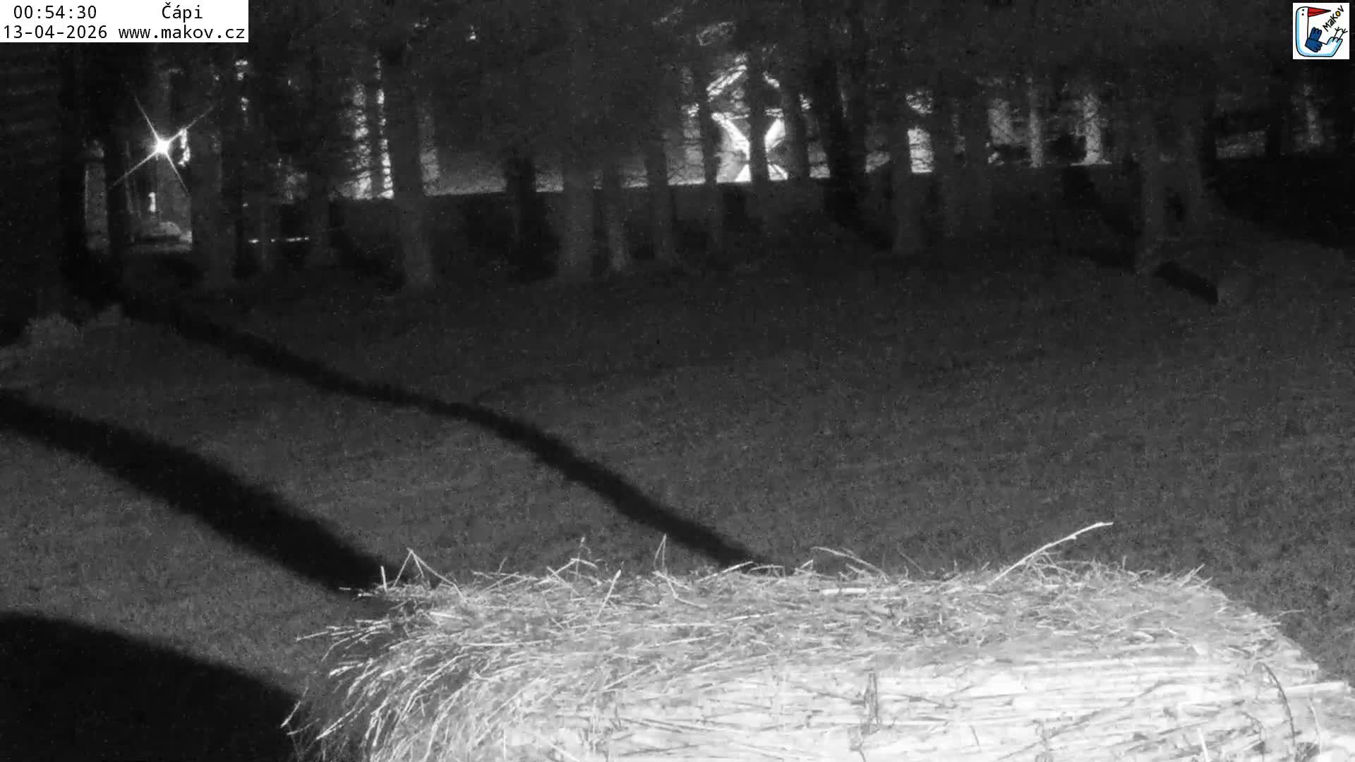 Pisek, Makov Animal Rescue Station Nest Live Cam - Cizova, Pisek, Juhočeský Kraj (South Bohemian), Czechia