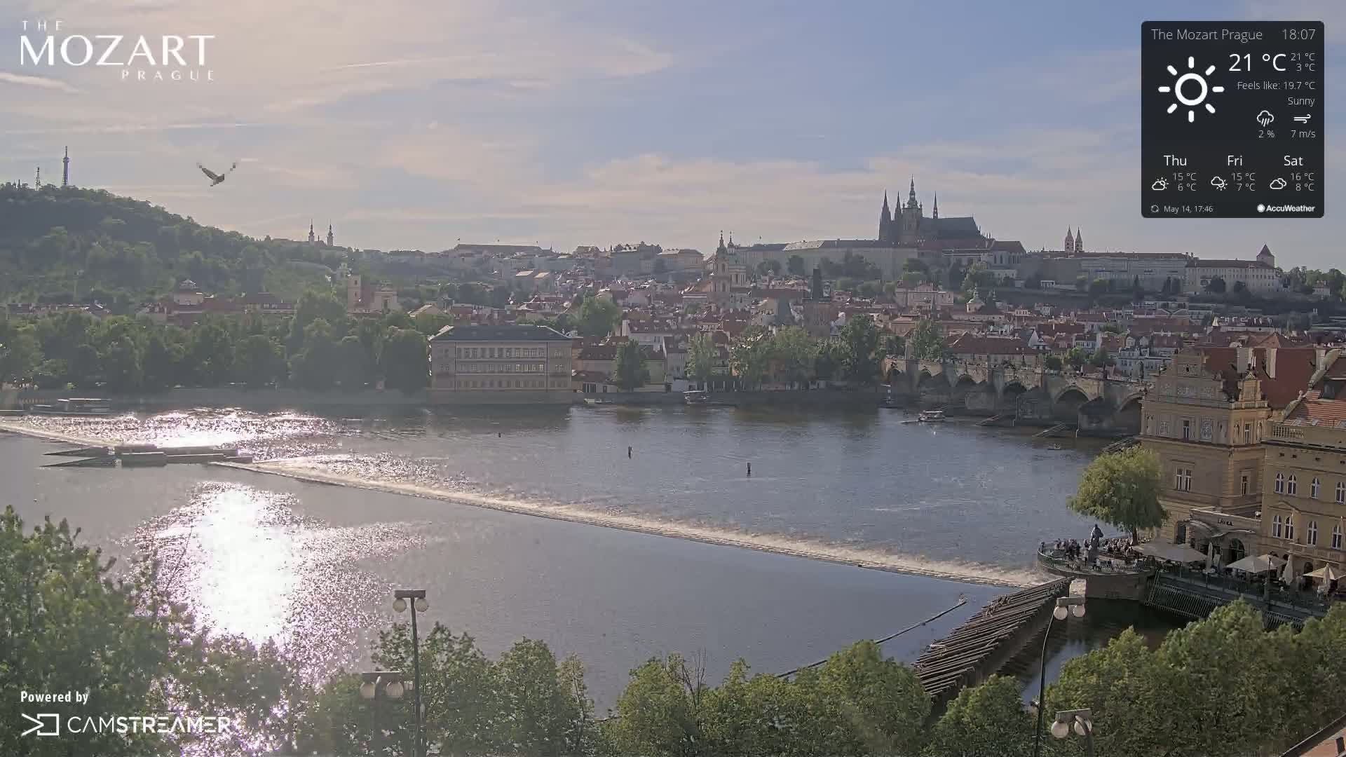 A sunny view of Prague shows a river flowing past a city with several bridges and buildings, a bird flying overhead.