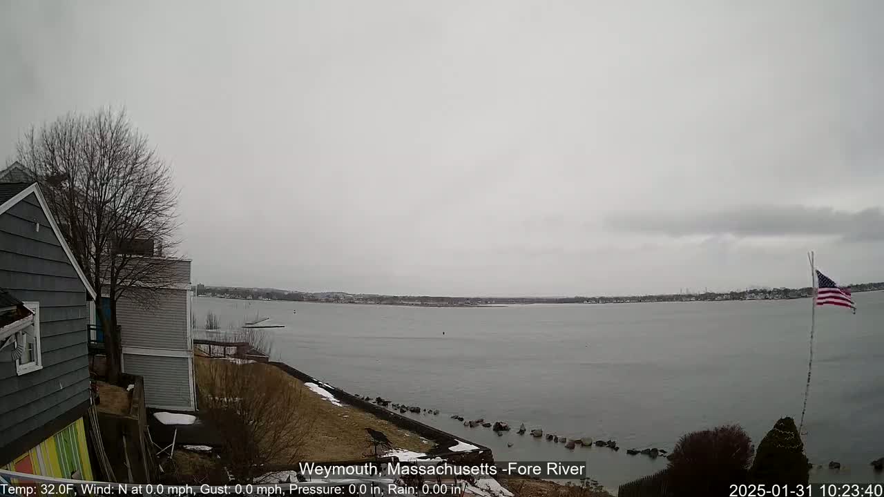 A gray, overcast day reveals a calm body of water with a shoreline featuring houses, a sparsely-leafed tree, and a small American flag.