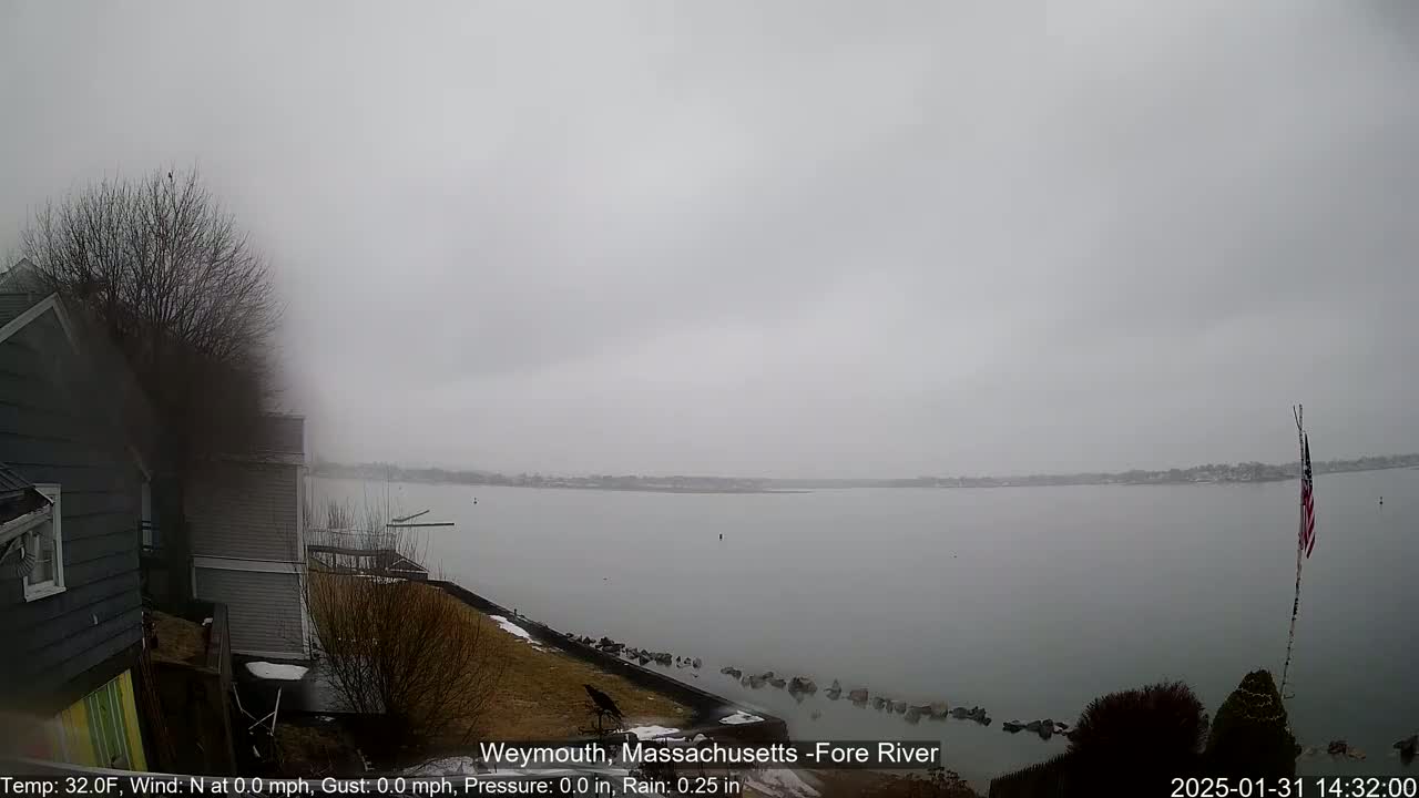 A gray, overcast day with light rain shows a calm body of water, viewed from a shoreline with houses and a sparsely leafed tree, and an American flag on a pole.