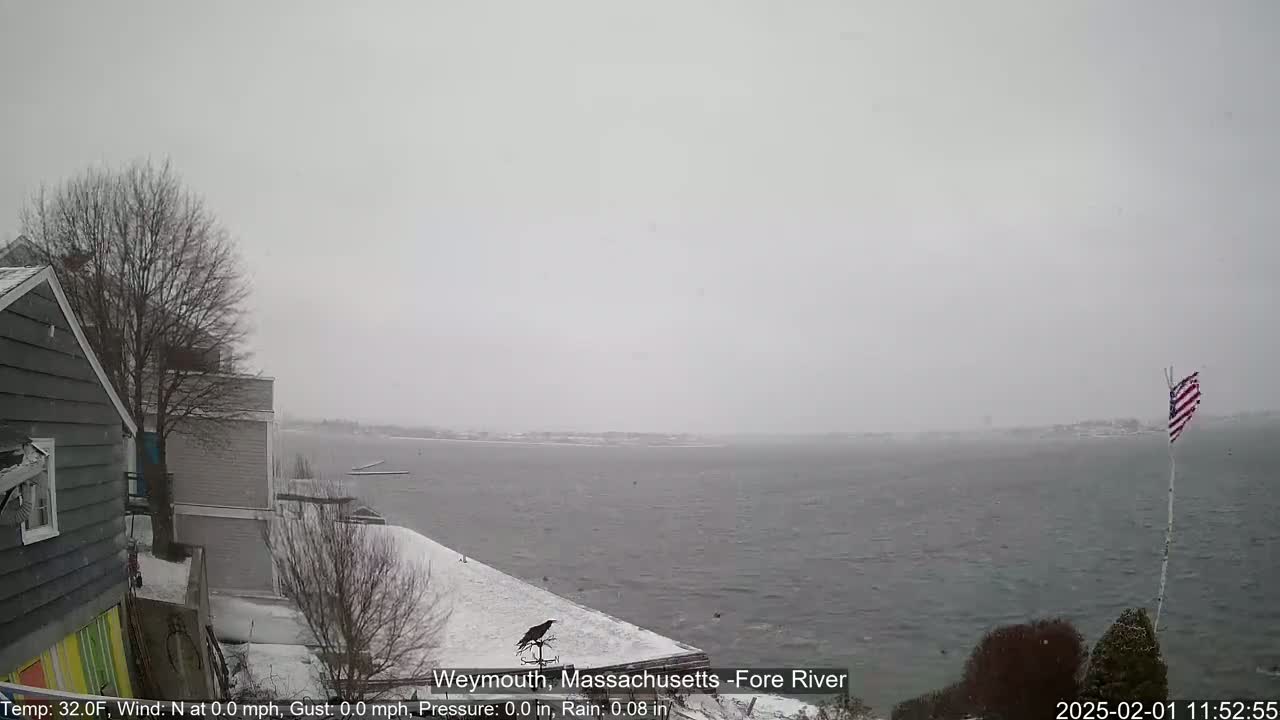 A snow-covered waterfront scene shows a calm body of water under a gray, snowy sky, with a bird perched on a post near a snow-dusted house and a small American flag.