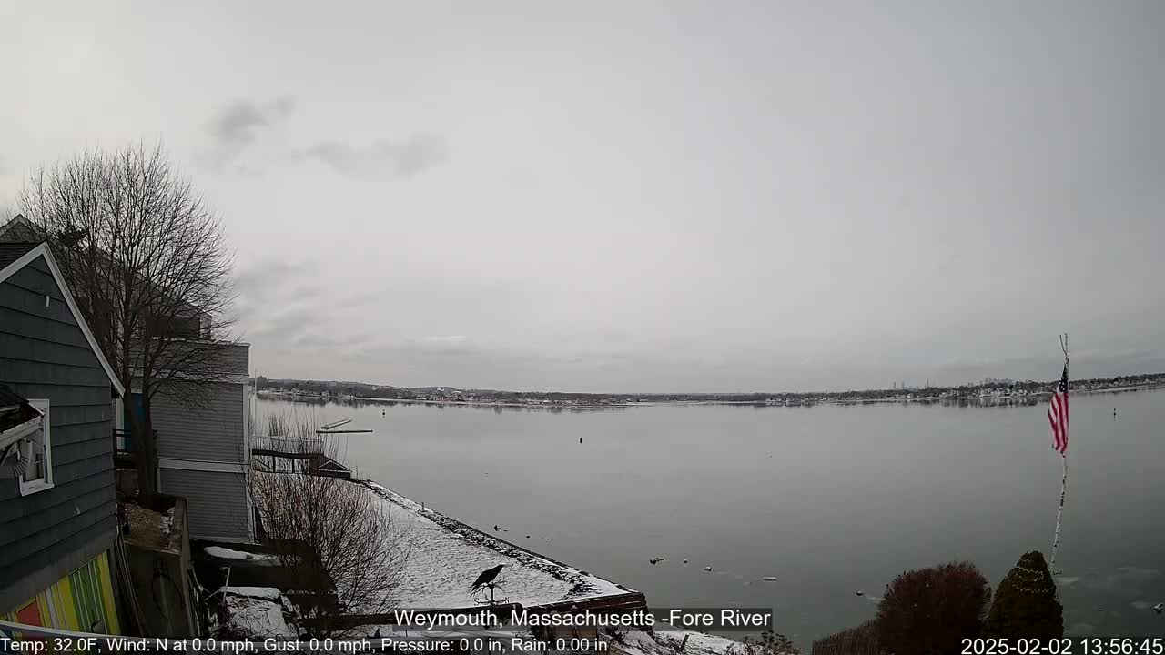 A calm, gray day shows a wide river with a snow-dusted shoreline, featuring houses, a bird, and an American flag.