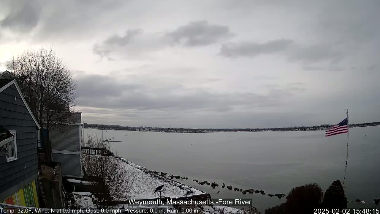 A gray, overcast day shows a calm body of water with a snow-covered shoreline, a bird, and an American flag.