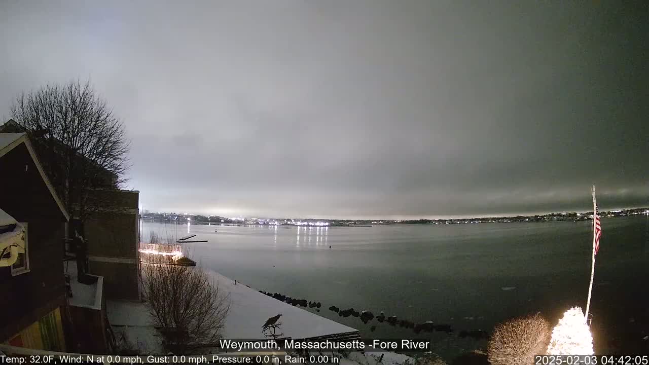 A snow-covered waterfront scene at night shows a calm body of water under a gray, cloudy sky, with lights visible across the water and a partially lit Christmas tree in the foreground.