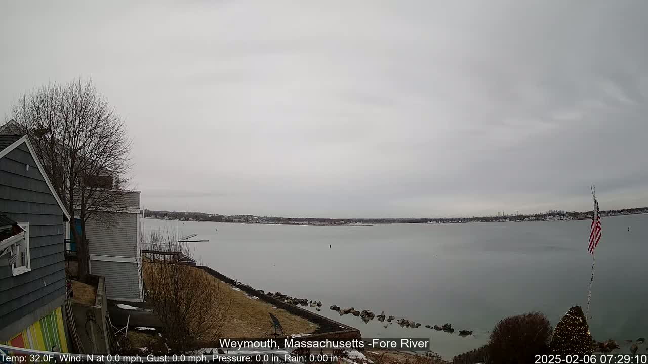 A calm, overcast day reveals a waterfront view of a gray body of water with a distant shoreline, featuring houses and a small American flag on a pole near a decorated evergreen tree.