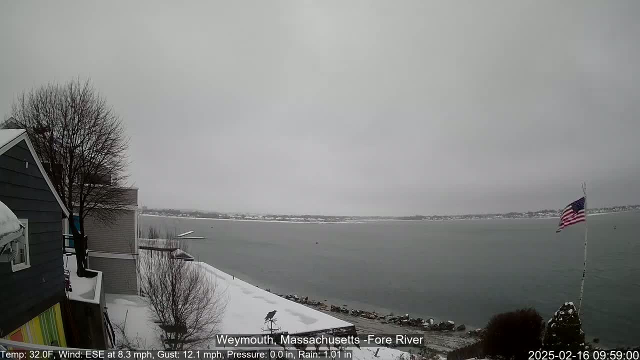 A snow-covered waterfront scene shows a calm body of water under an overcast sky, with houses and a bare tree in the foreground.