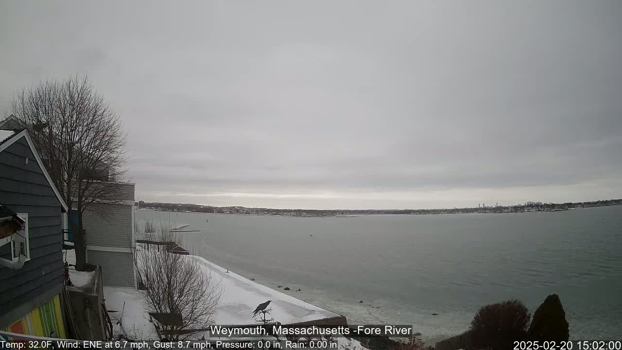 A snow-covered waterfront scene shows a calm body of water under an overcast sky, with a bird perched on a structure near a house.