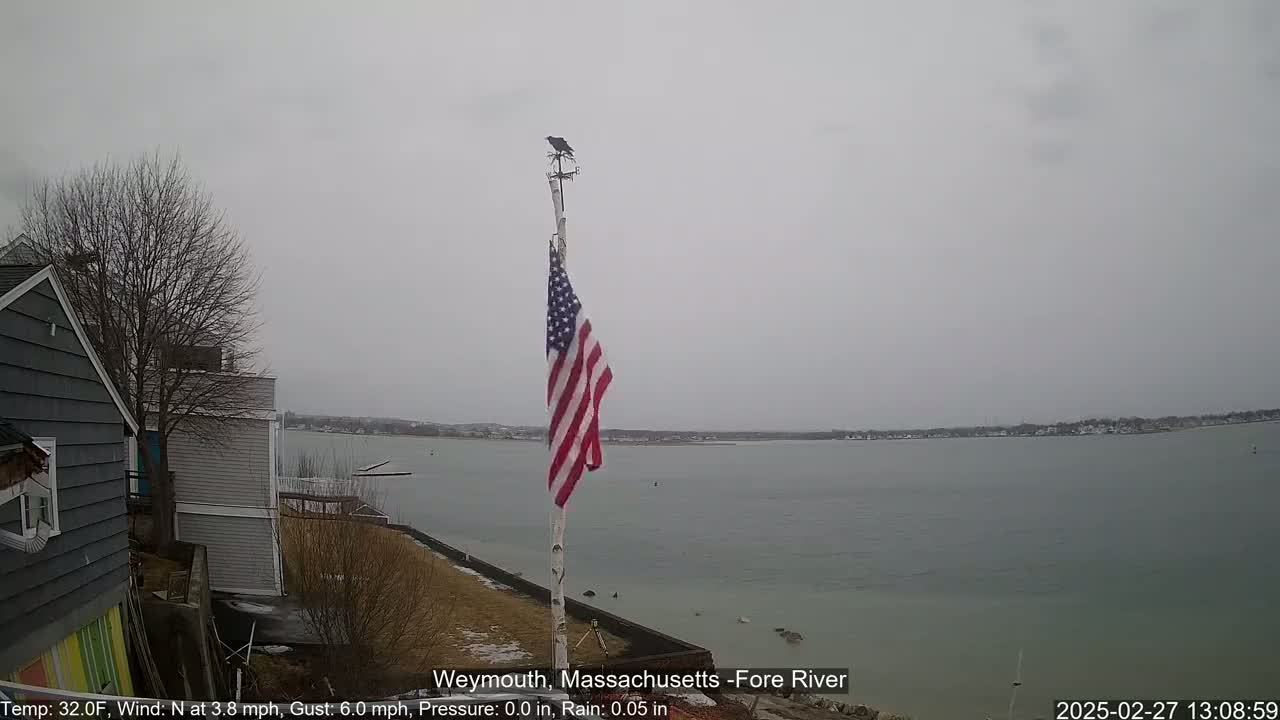 A partially cloudy, lightly rainy day reveals an American flag displayed near a body of water with a bird perched atop its flagpole, houses and bare trees in the foreground.