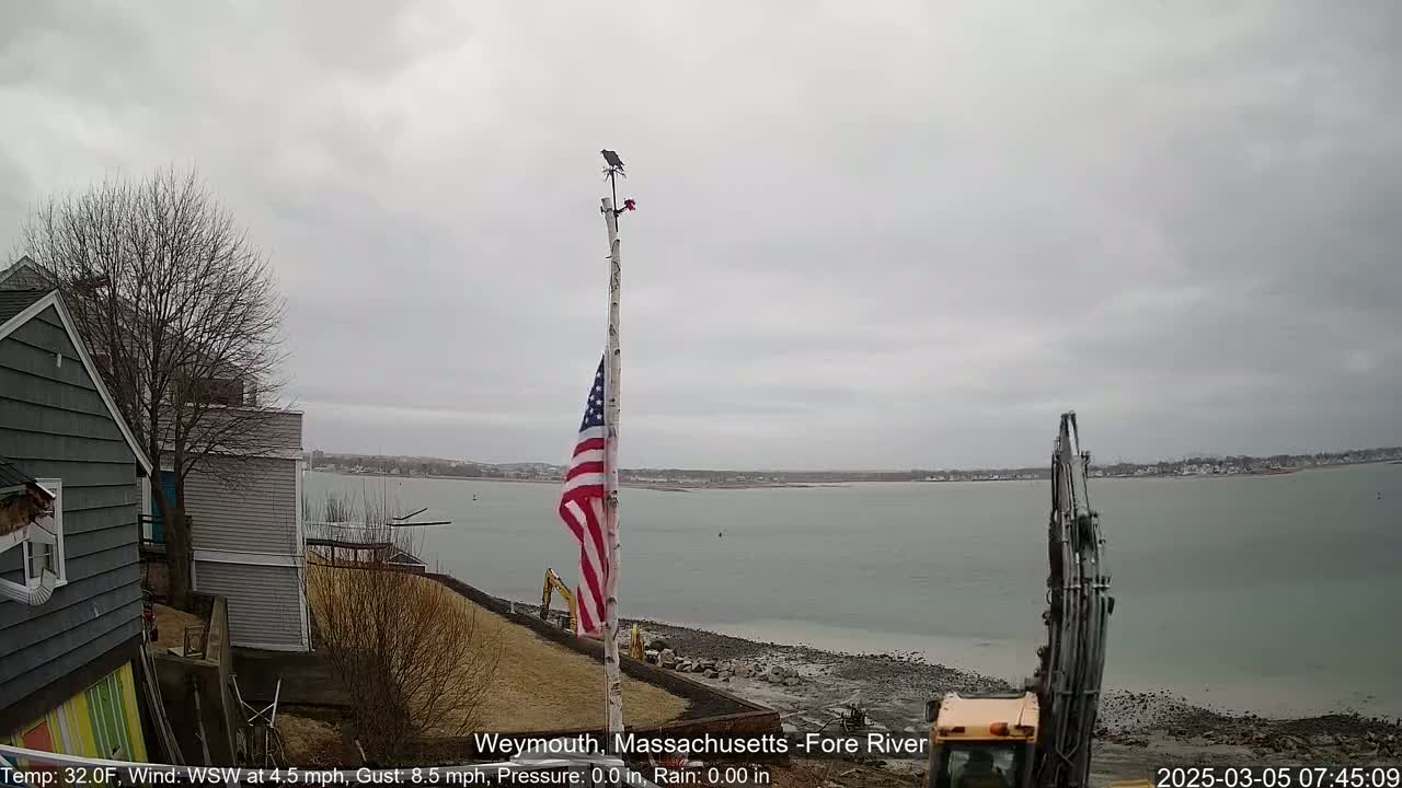 A gray, overcast day reveals a calm body of water with a shoreline, a partially visible house, a tree, an American flag on a pole, and a piece of construction equipment.