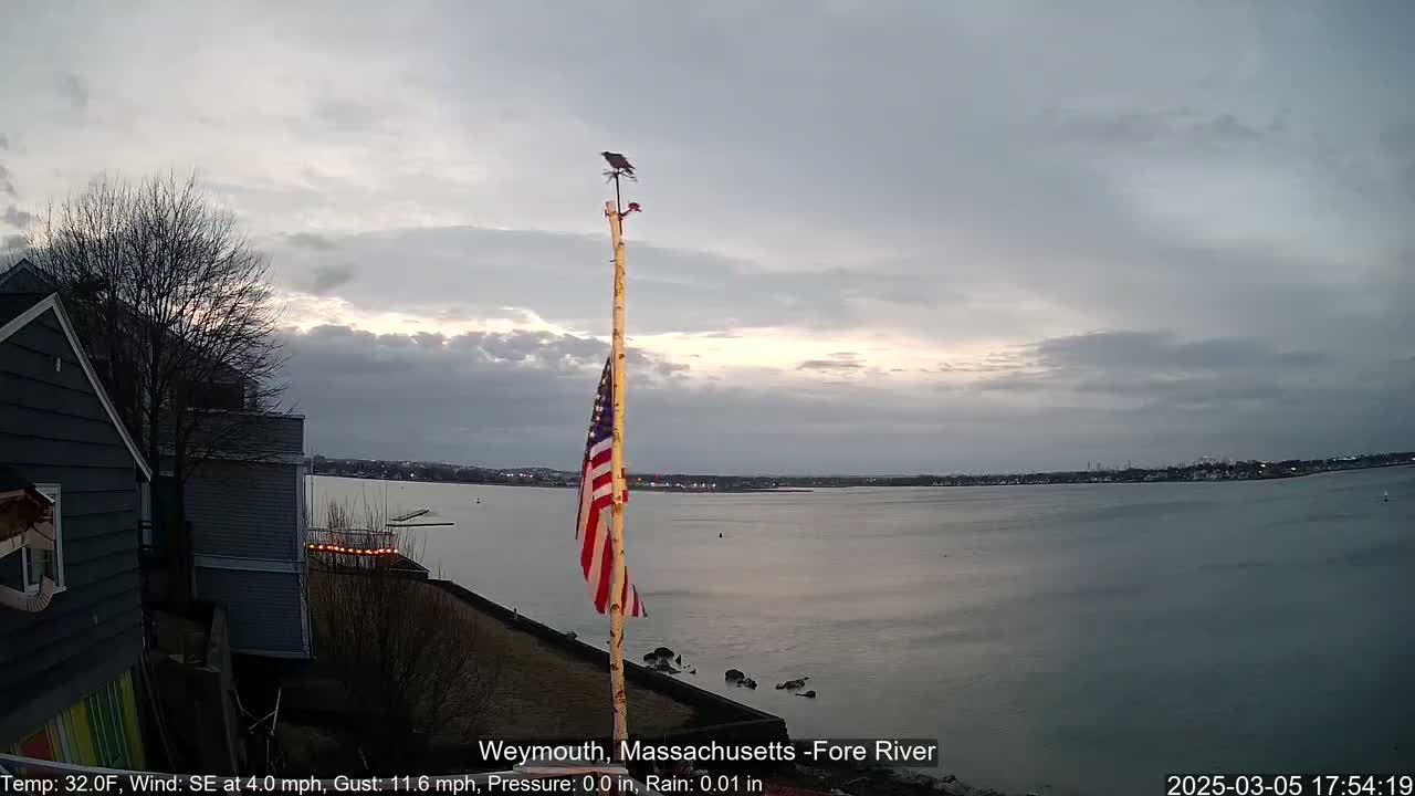 A bird perches atop a flagpole displaying an American flag overlooking a calm body of water under a cloudy sky.
