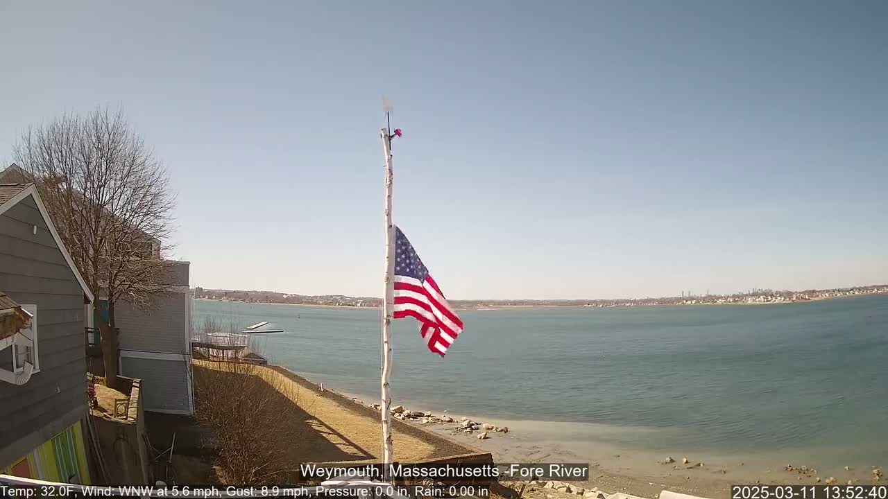 An American flag flies on a birch pole overlooking a calm body of water under a clear sky.