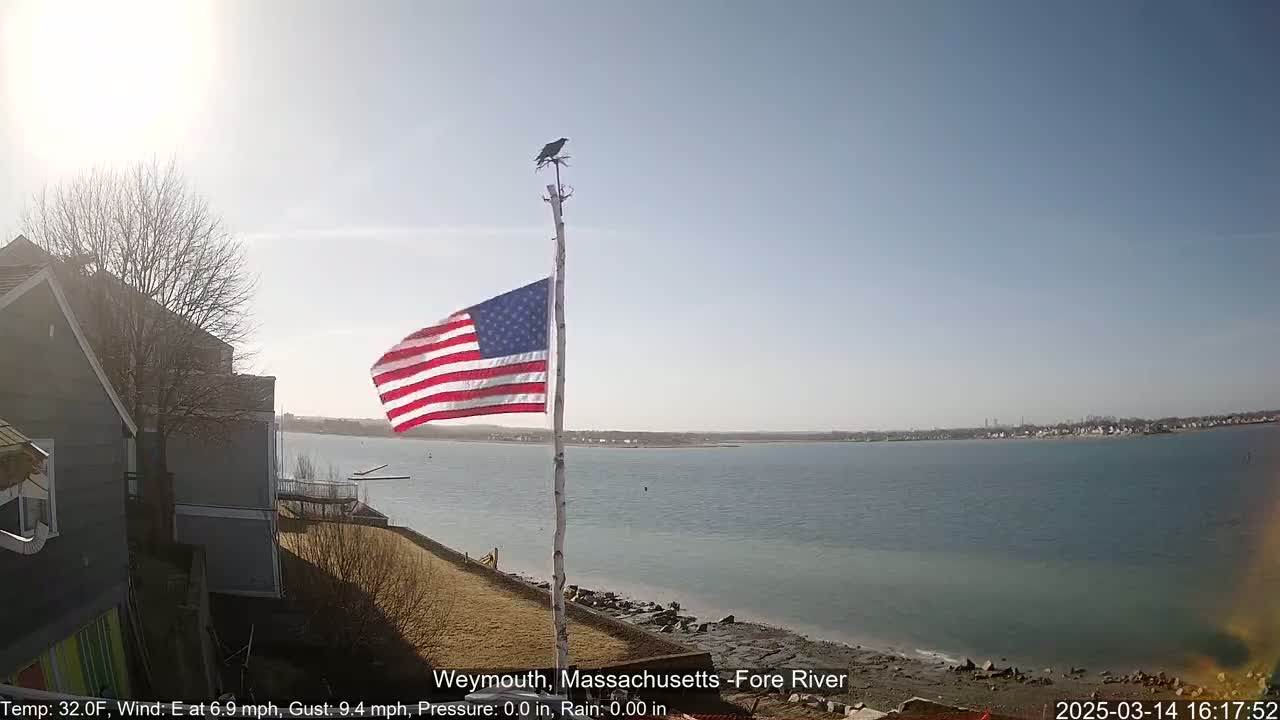 An American flag flies from a pole with a bird perched atop, overlooking a calm body of water under a clear, sunny sky.
