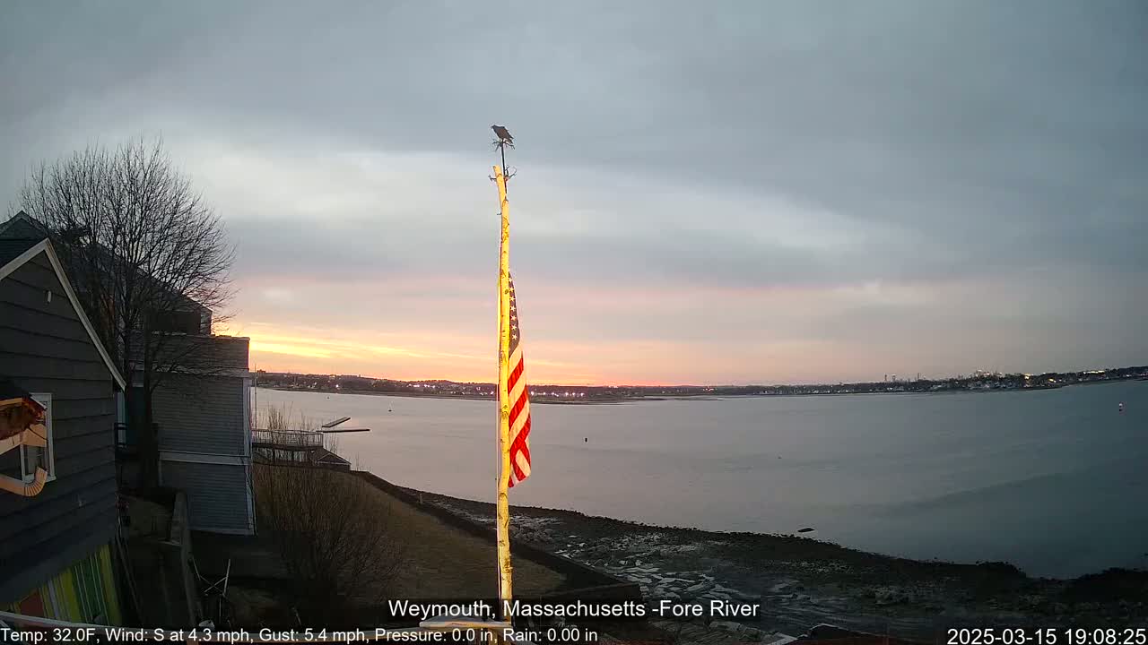 A mostly cloudy sunset over a calm river, viewed from a shoreline with houses and a flagpole holding an American flag, on which a bird is perched.
