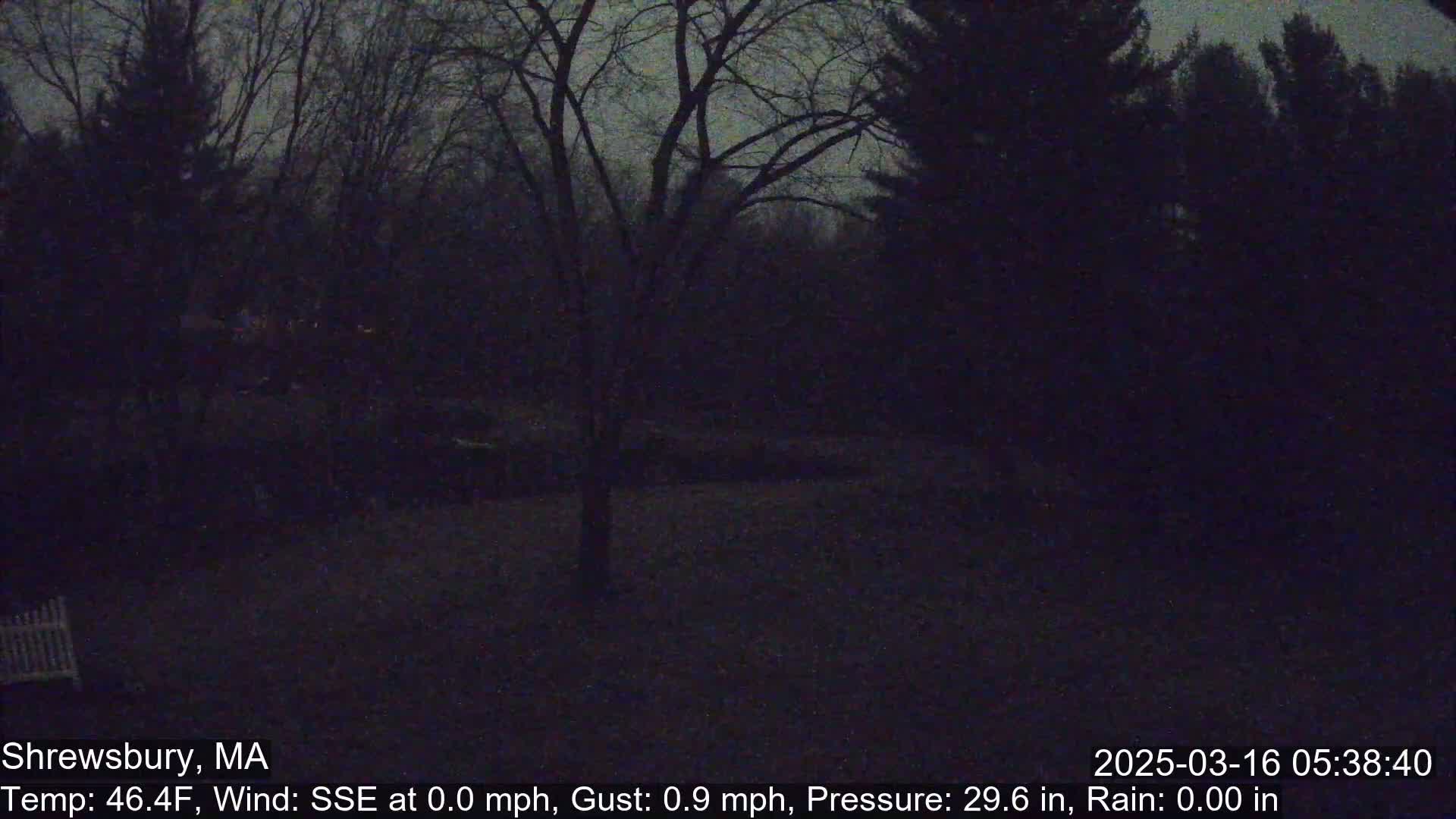 A dark, nighttime scene of trees and a yard under a mostly clear sky with a calm wind.