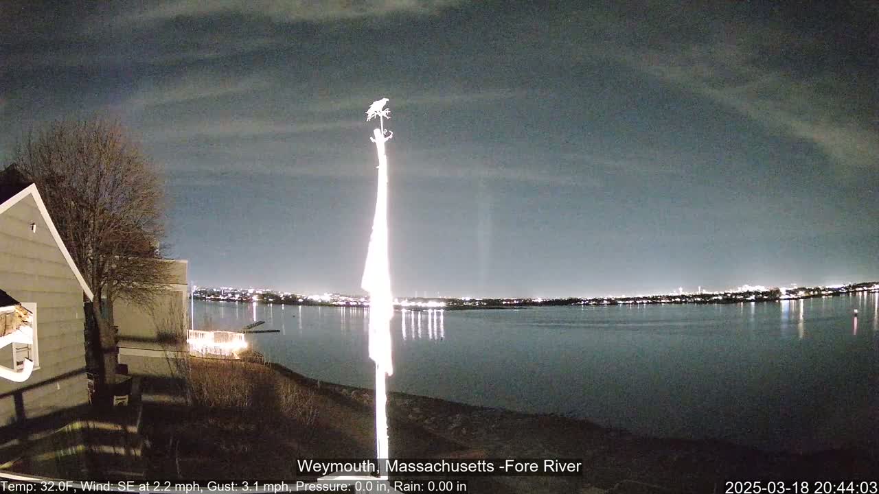 A nighttime view of a calm body of water reflecting city lights under a mostly clear sky, with a bird perched atop a flagpole near a house.