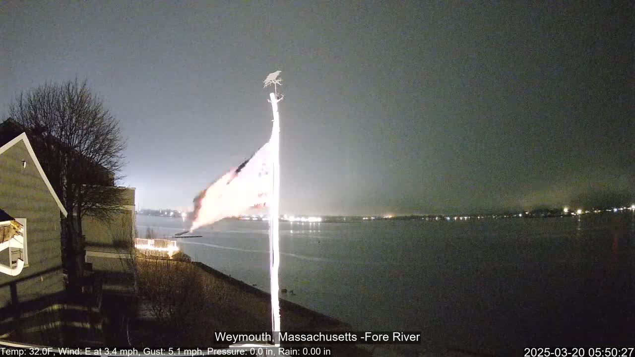 A nighttime view of a calm body of water under a dark sky, with a flag waving on a pole near a house and a bird perched atop it.
