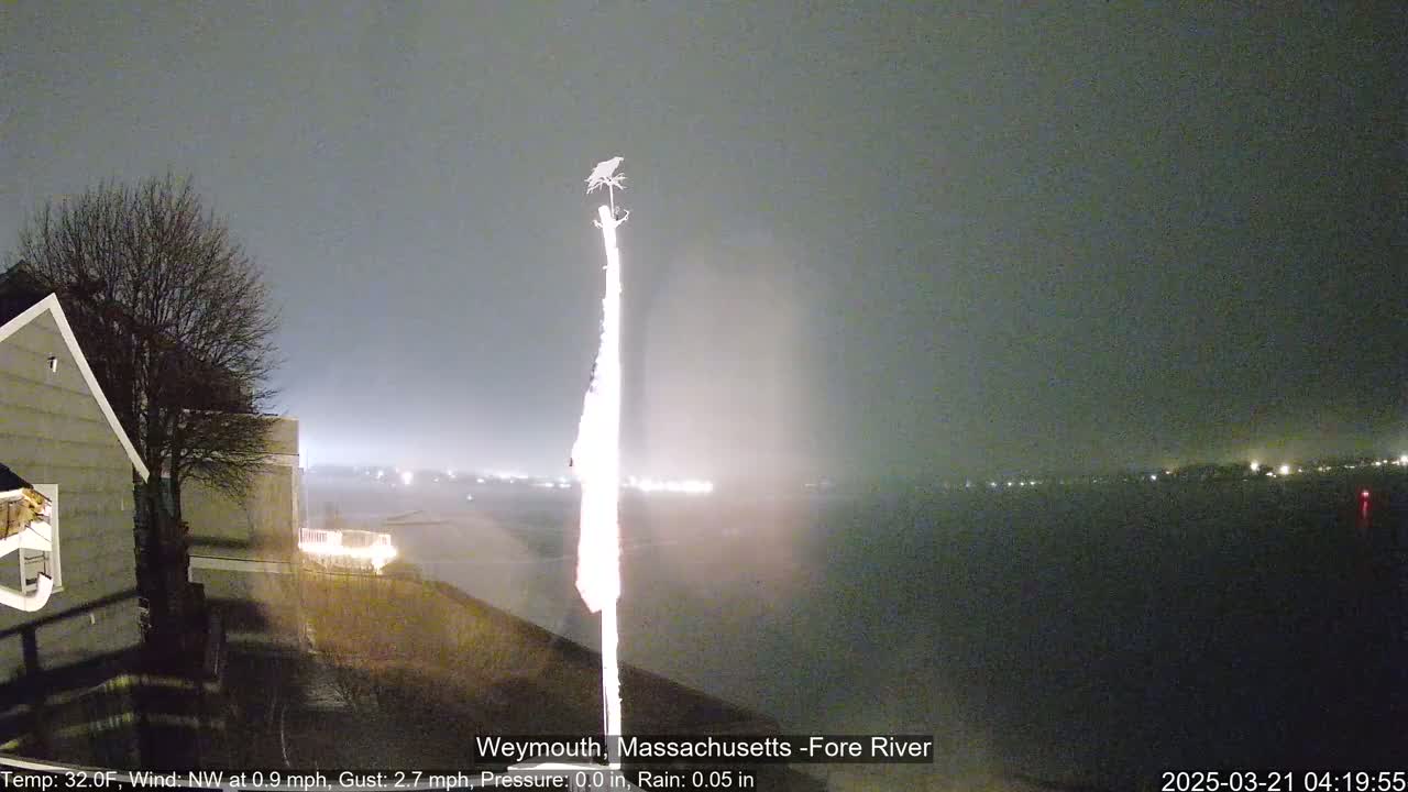 A nighttime view of a river with a bird perched atop a pole, under a slightly hazy sky with light rain.
