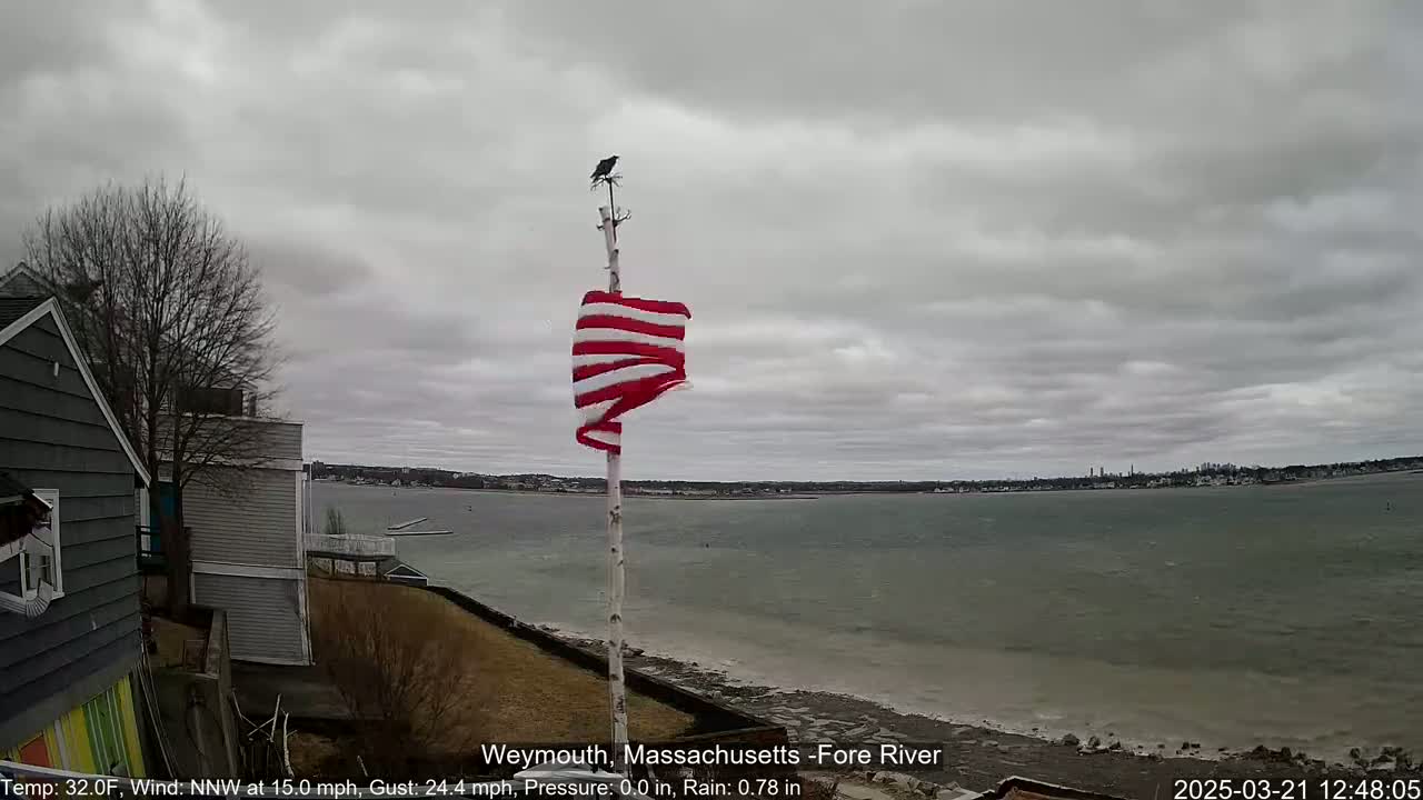 A tattered American flag waves vigorously on a pole beside a body of water under a cloudy sky.