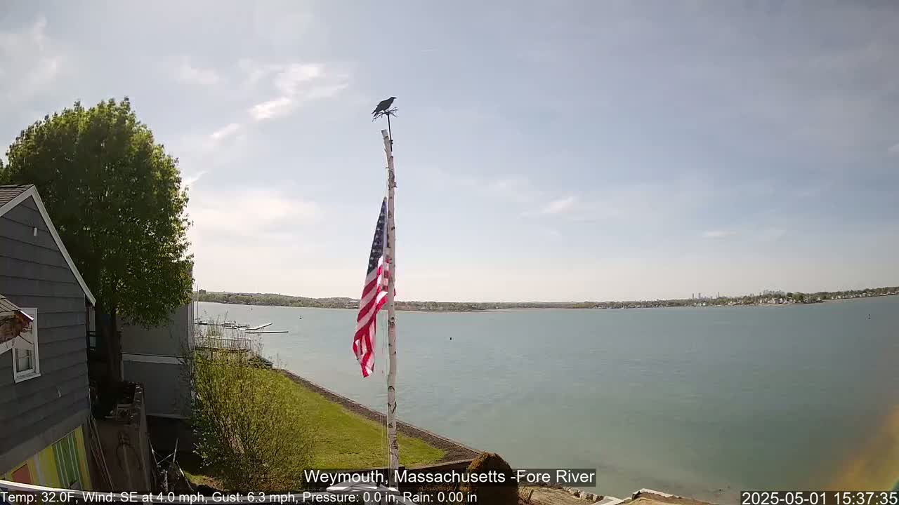 A mostly sunny day shows a calm body of water, a partially visible gray house, lush green vegetation, and an American flag on a pole topped with a bird weathervane.