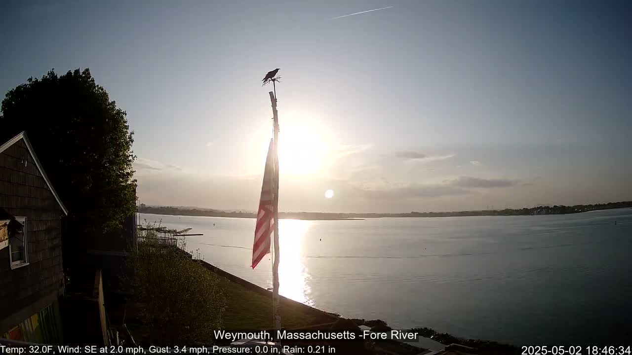 A calm, sunlit river scene is viewed from a waterfront vantage point, showing a partially visible American flag on a pole with a bird perched atop, a house partially obscured by foliage, and a mostly clear sky.