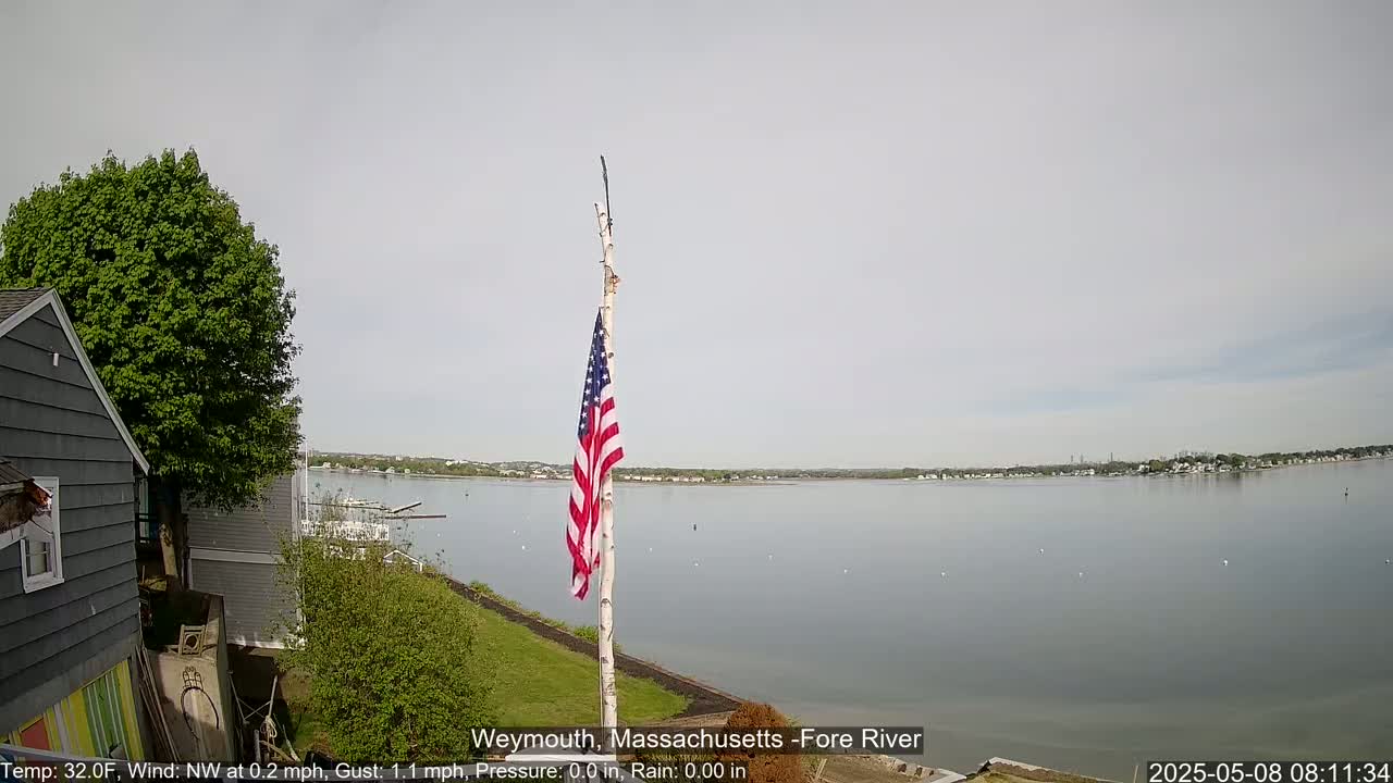 An American flag flies on a birch tree beside a calm body of water, with a house and green foliage in the foreground under a mostly cloudy sky.