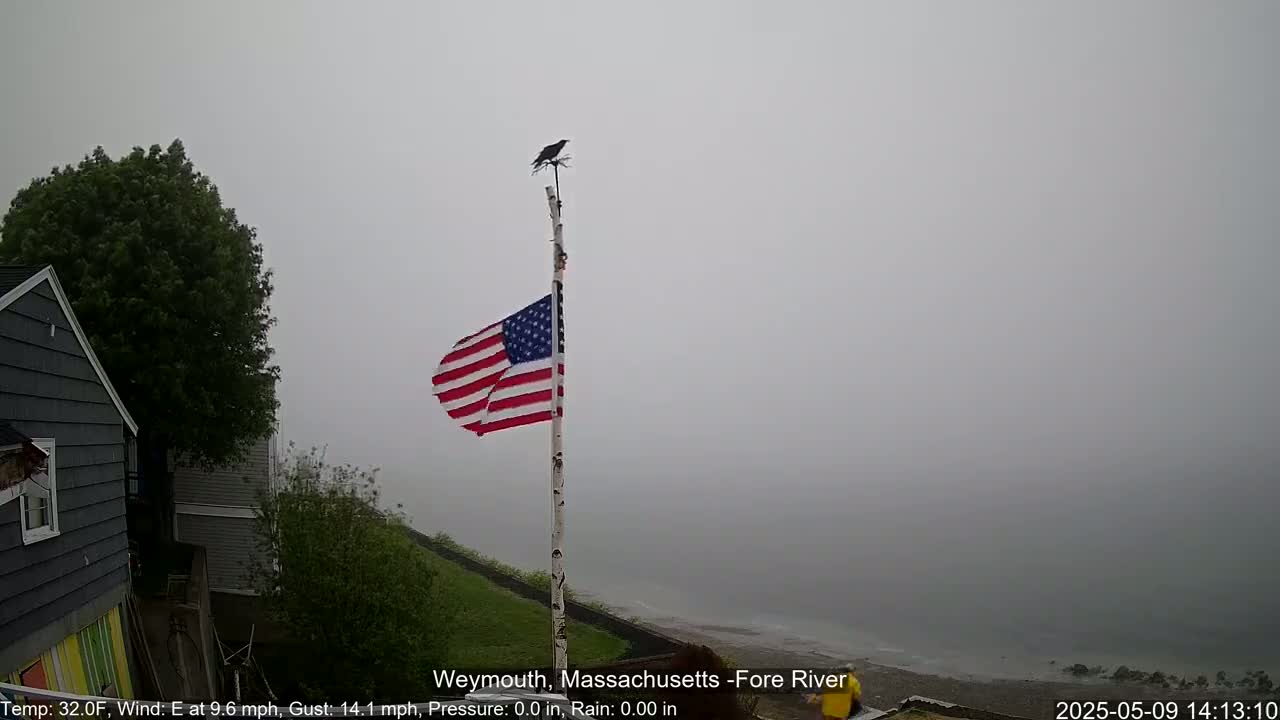 A mostly obscured view of a body of water on an overcast day, showing a partially visible American flag on a pole with a bird perched atop it near a house and some trees.
