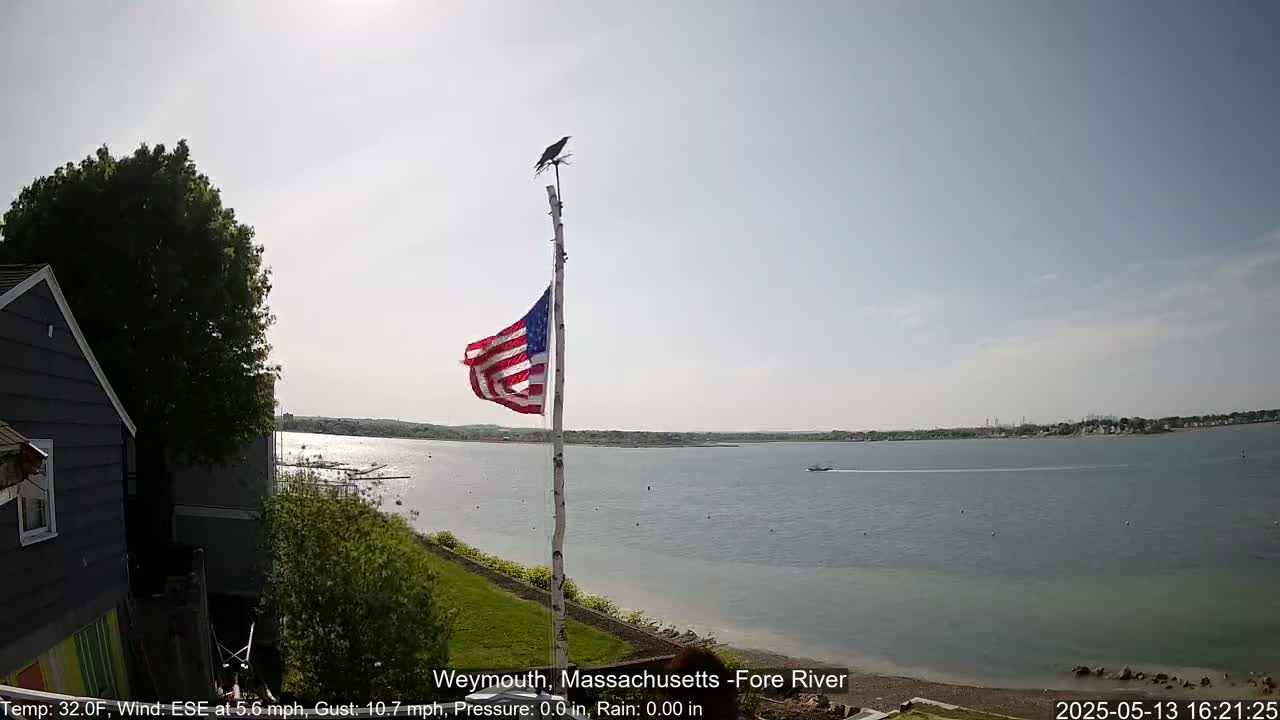 A partly sunny day reveals a calm body of water with a distant shoreline, a small boat, and an American flag waving gently on a pole near a house and green foliage, a bird perched atop the flagpole.