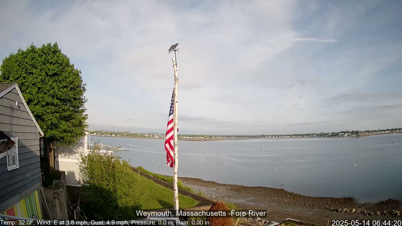 A bird perches atop a flagpole displaying an American flag overlooking a calm river under a partly cloudy sky.